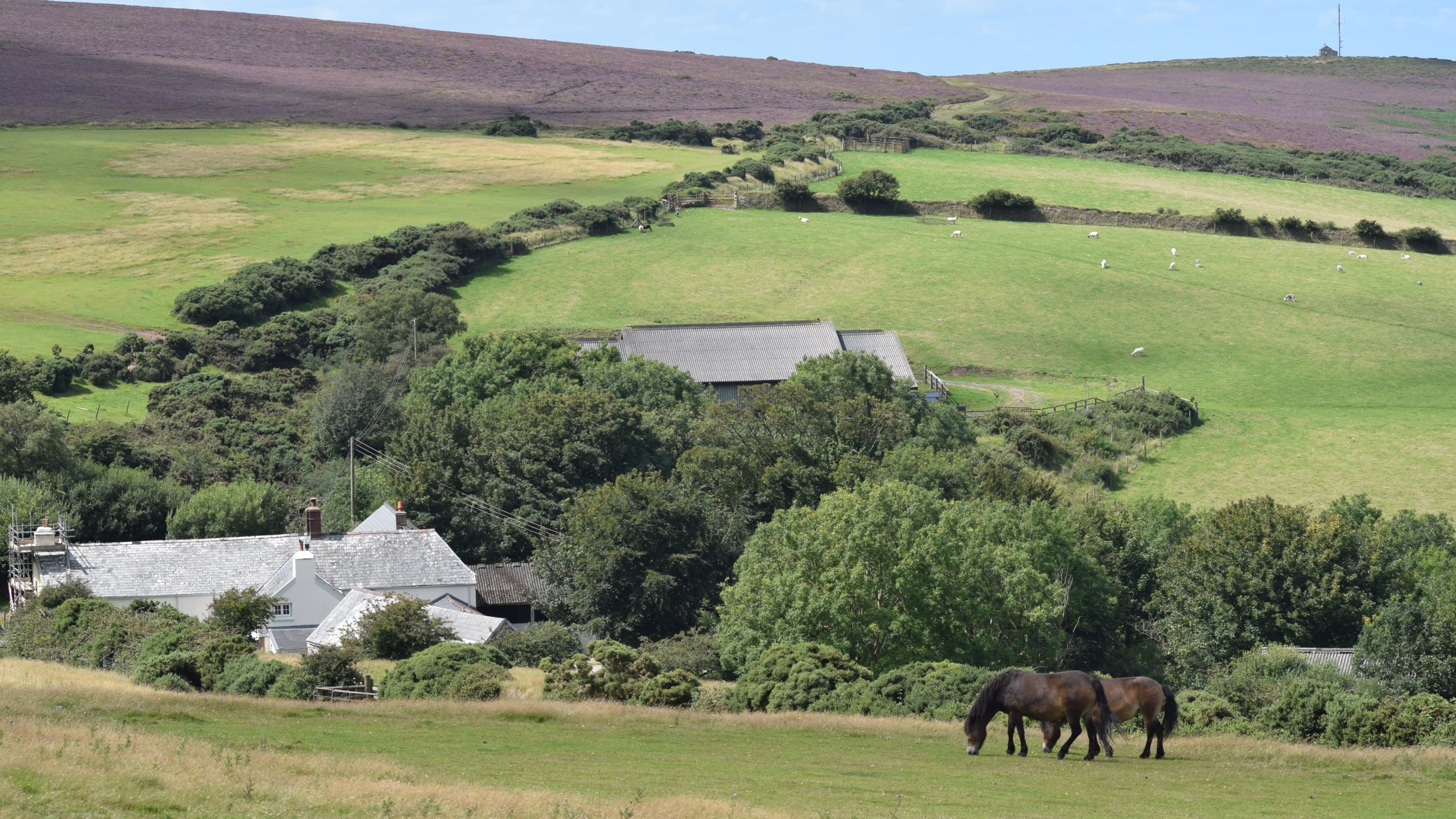 The surrounding area of Kipscombe Cottage, Devon