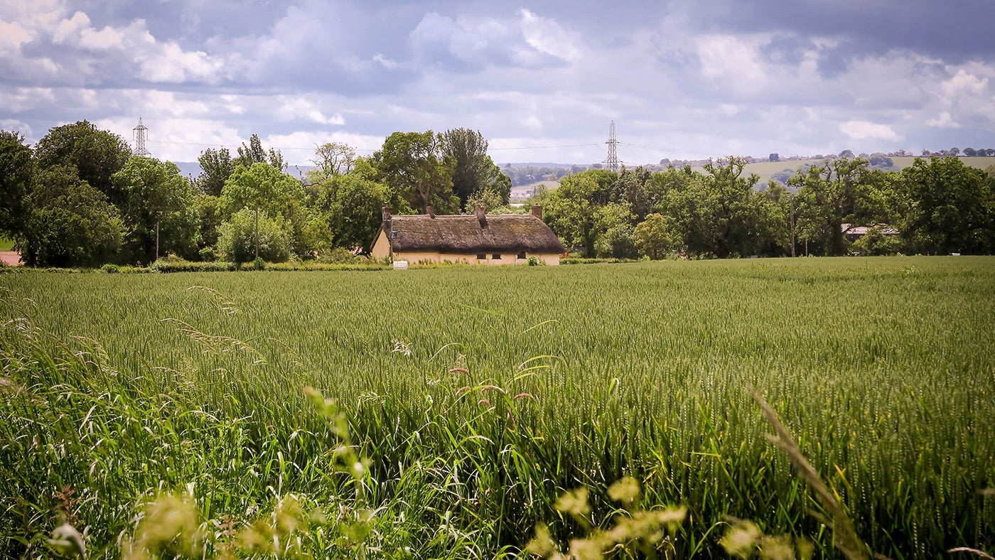 The pretty exterior of Mattress Cottage, Broad Ley Cottage and Longmeadow Cottage, Devon