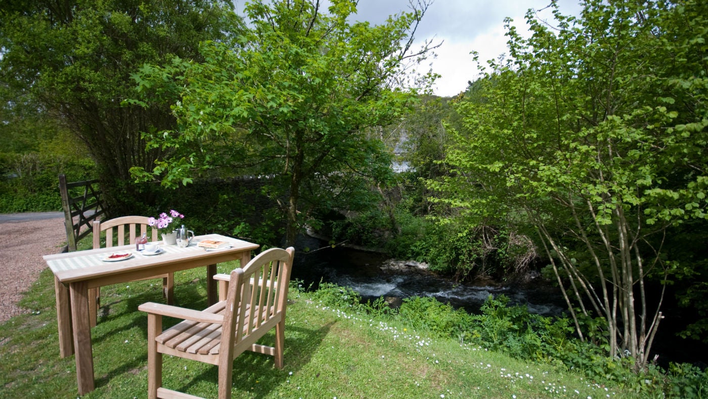 The garden at Mortuary Cottage, Devon