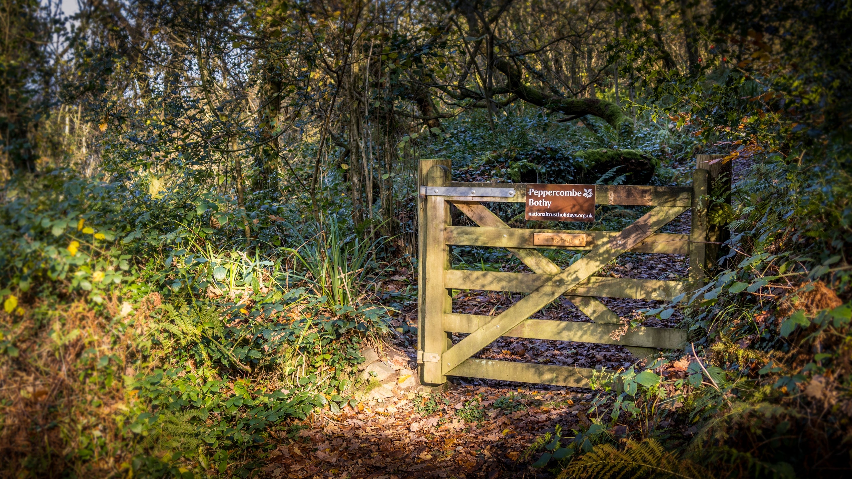 The surrounding area at Peppercombe Bothy, Devon