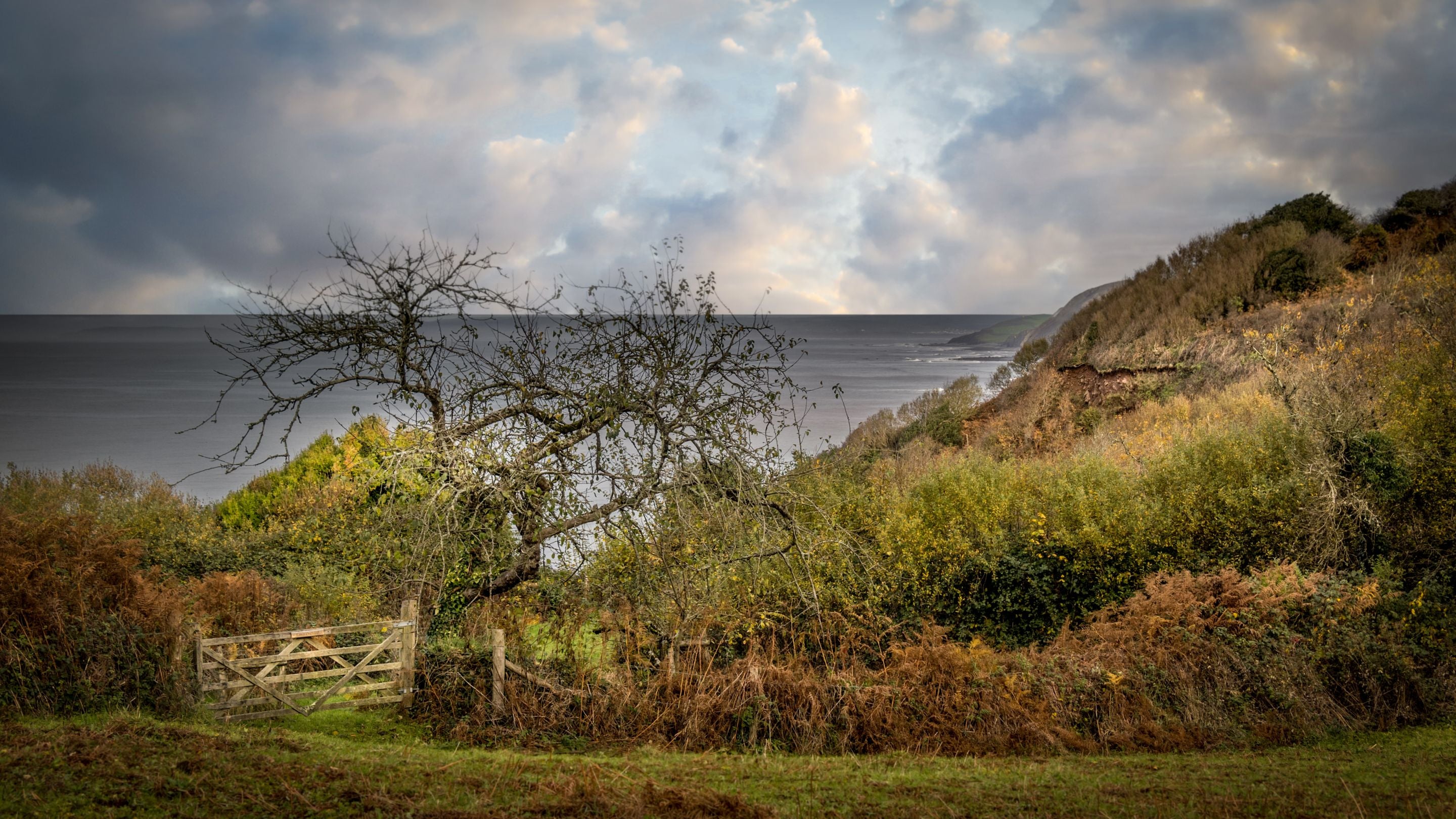 Coastal views at Peppercombe, Devon