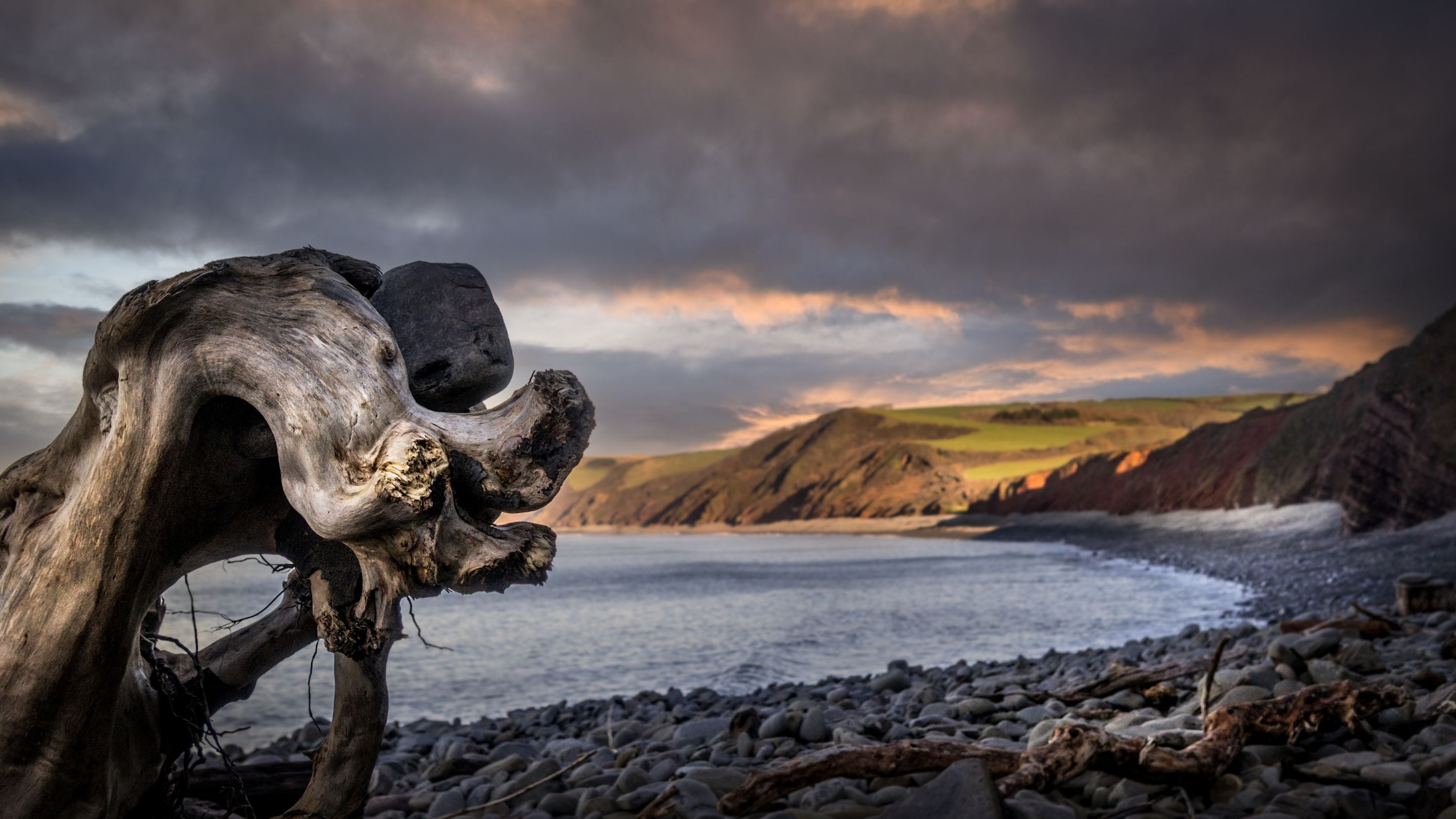 Peppercombe Beach, Devon