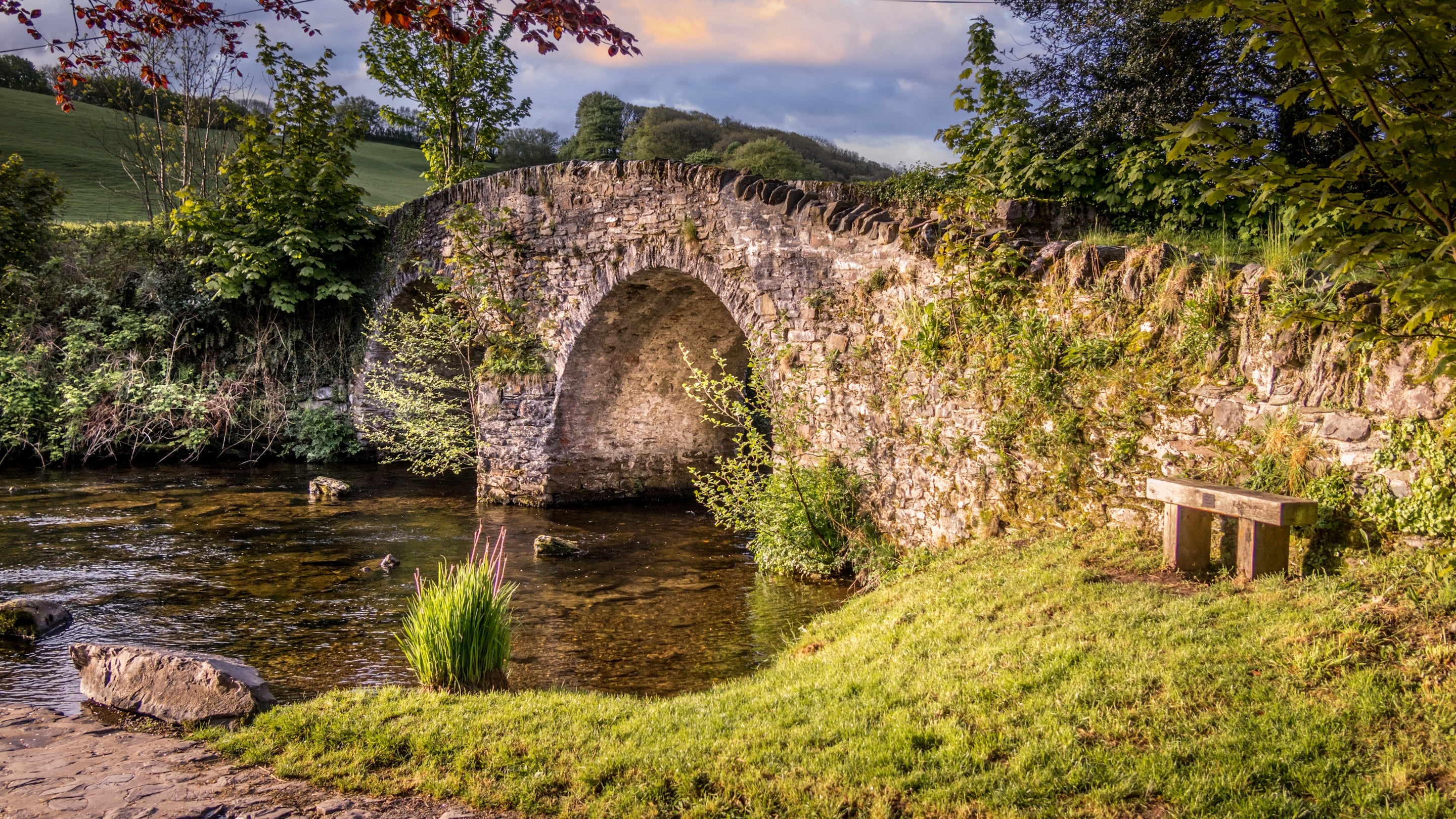 The area surrounding Riverside Cottage, Devon