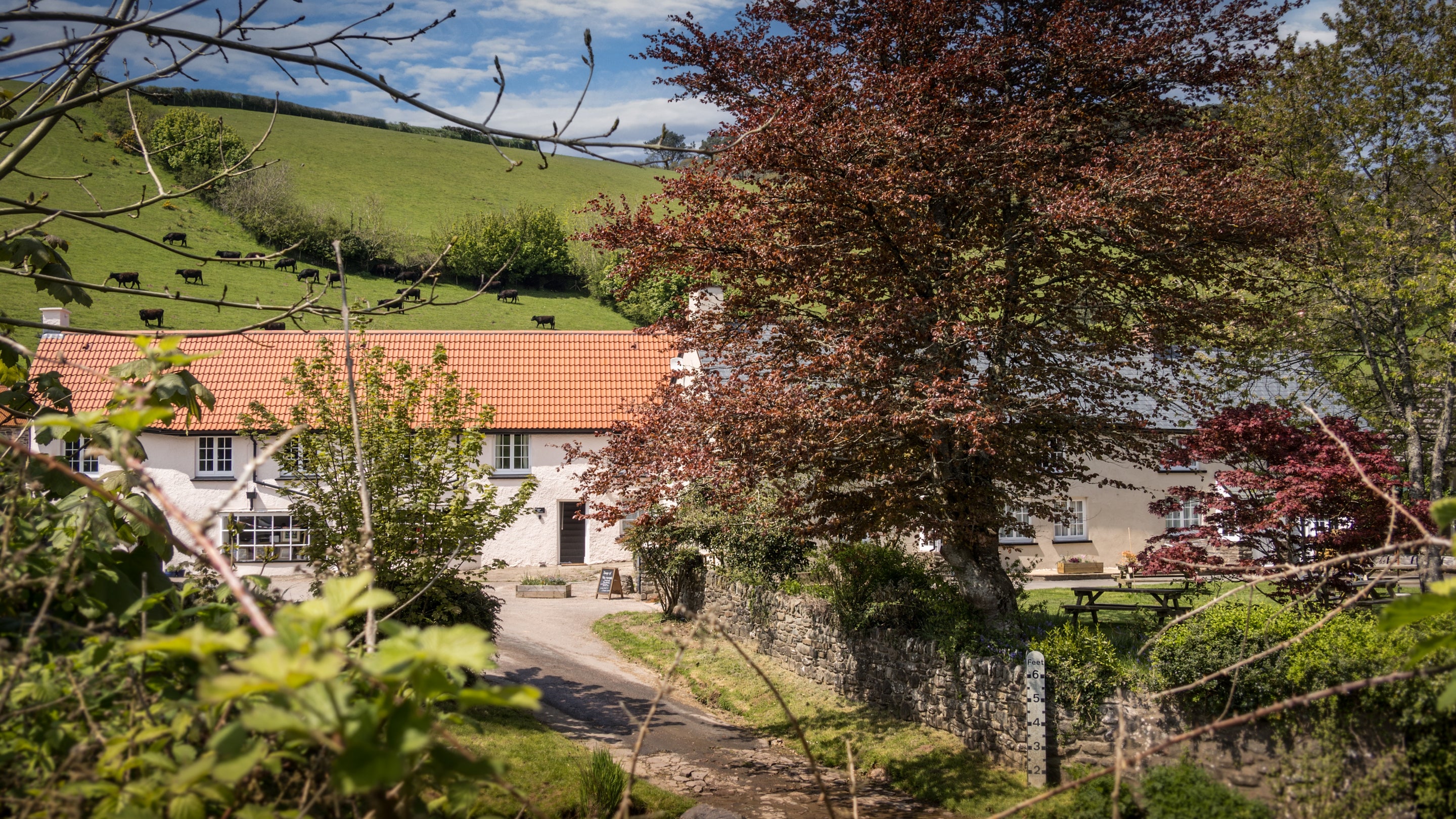 The area surrounding Riverside Cottage, Devon