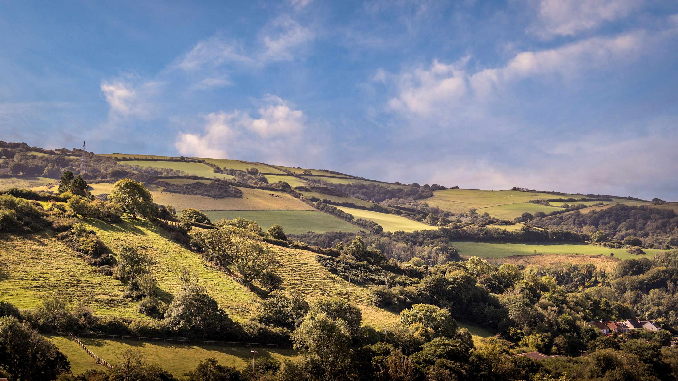 The rolling fields and woods in the countryside surrounding West Challacombe Manor and Cottage, Devon