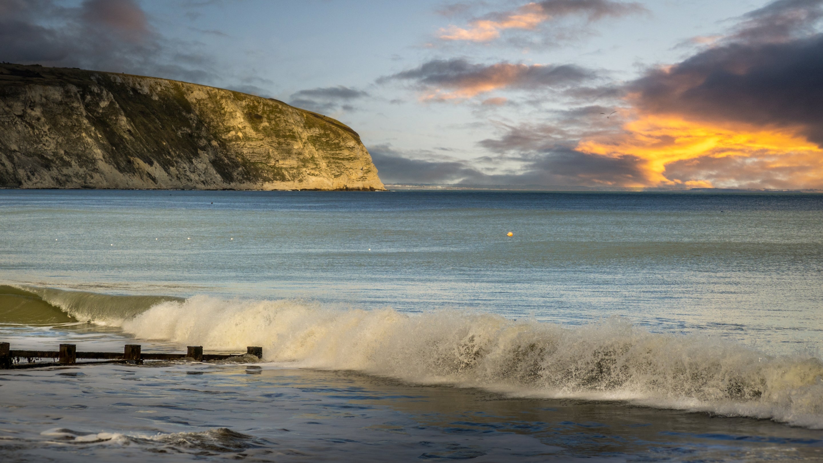 The area surrounding 2 Heathland Cottages, Dorset