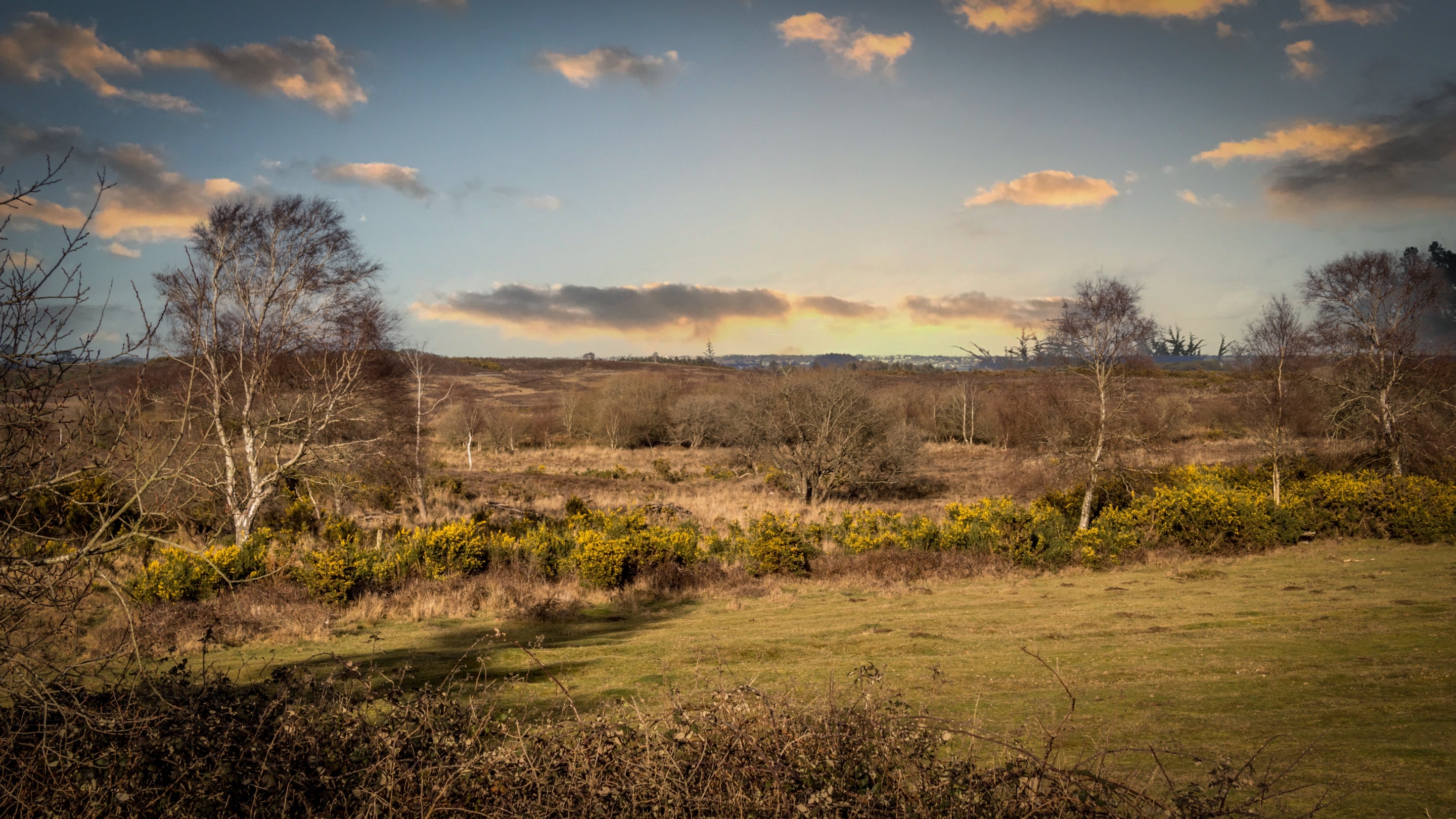 The area surrounding 2 Heathland Cottages, Dorset