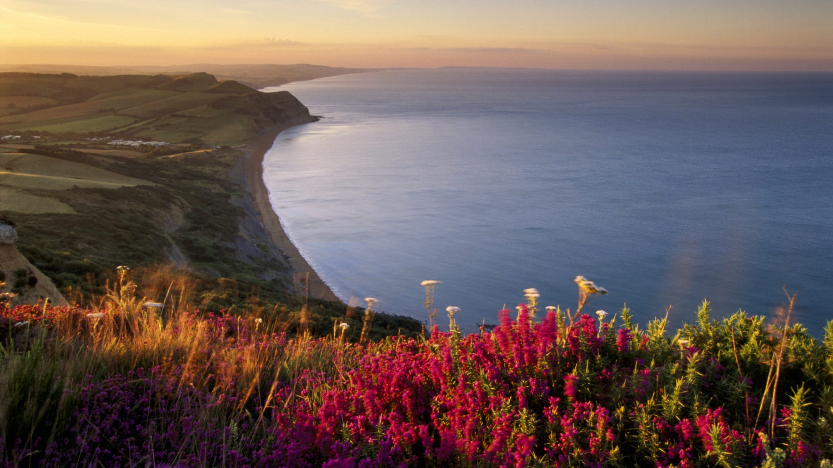 A view of the coastline from the summit of Golden Cap, Dorset, at Dawn