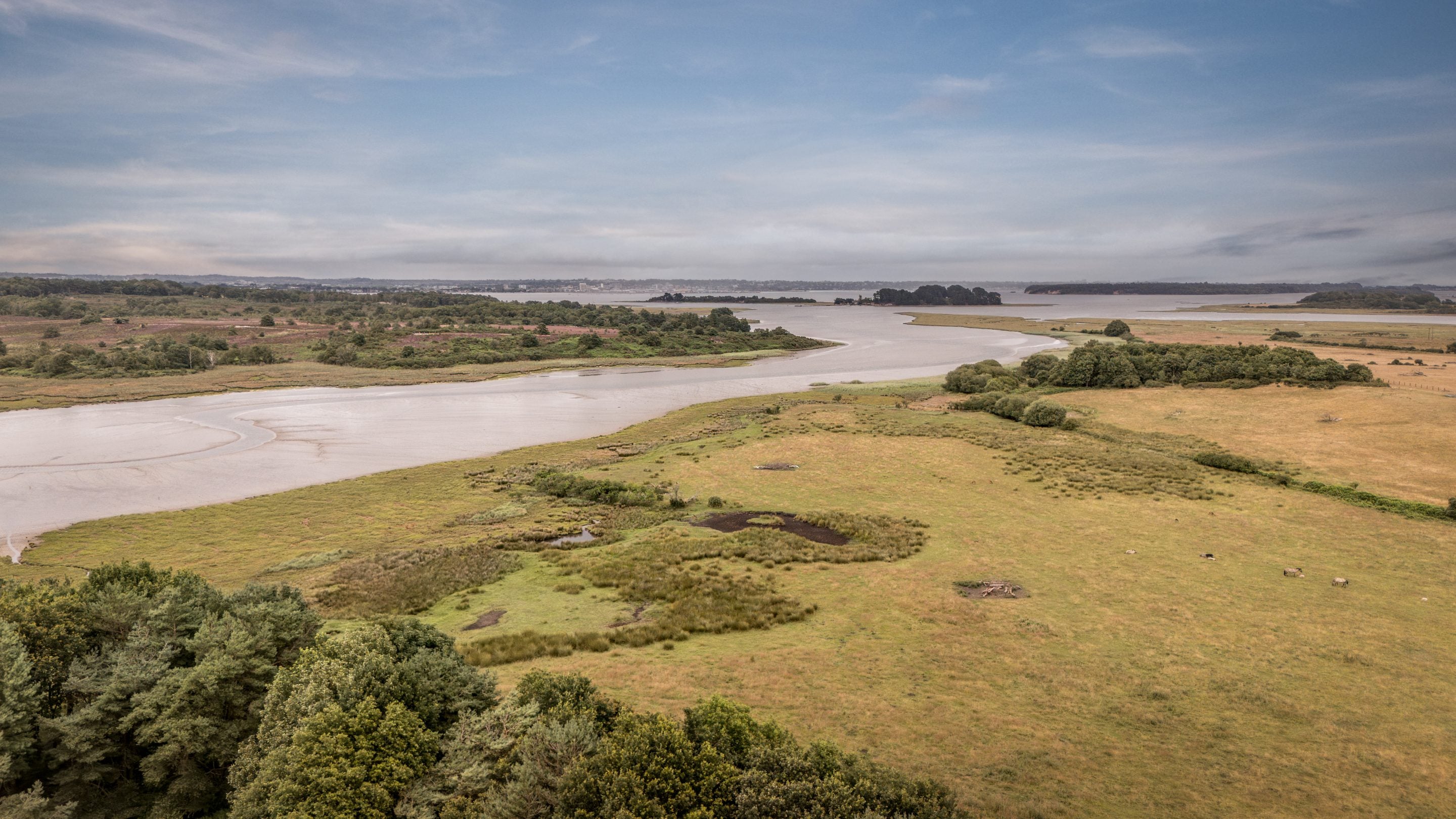 An aerial view of the land around The Bakehouse, Middlebere Farmhouse and North Cottage, looking toward Middlebere Lake, Dorset