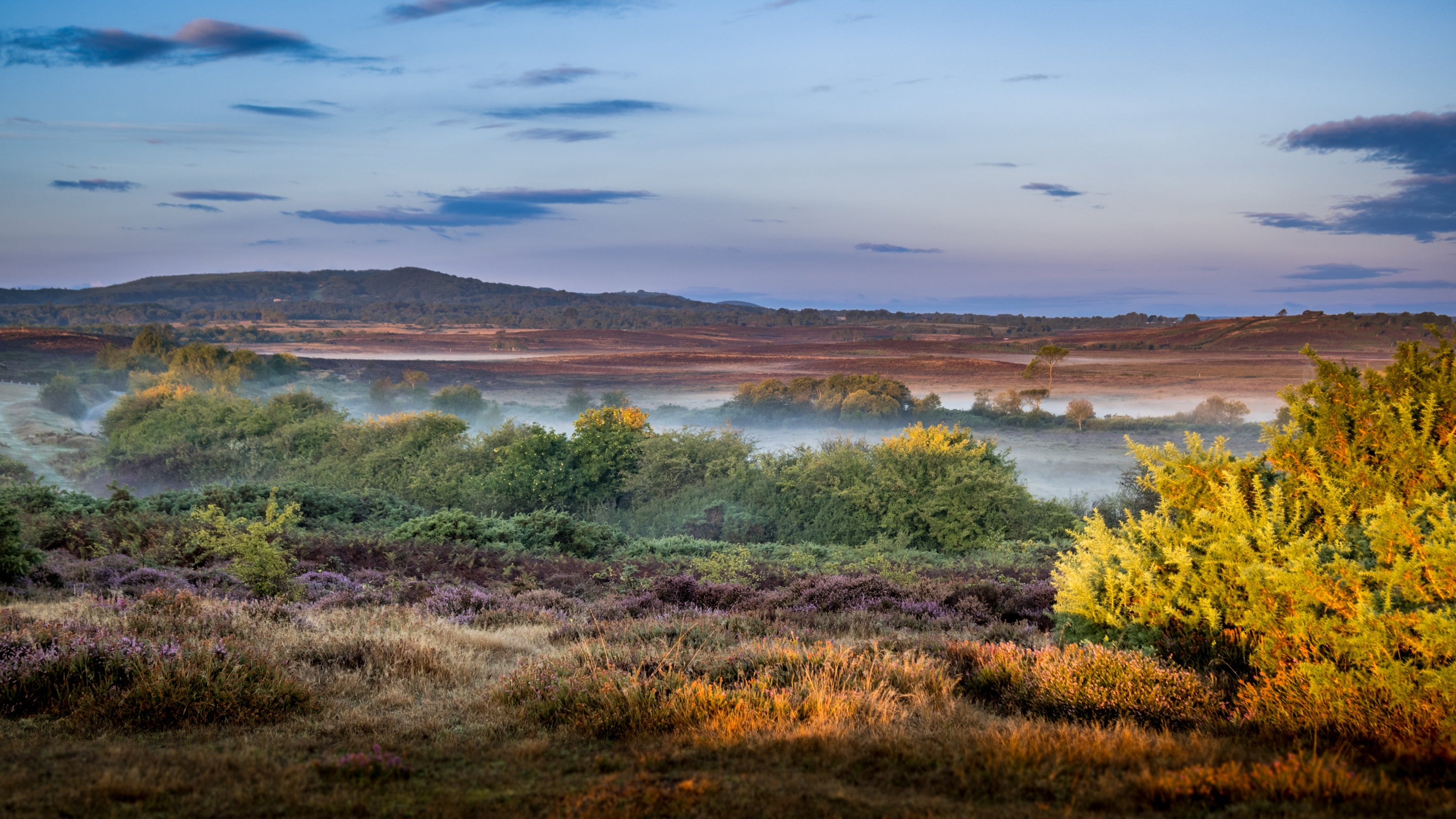 The surrounding area at The Bakehouse, Dorset