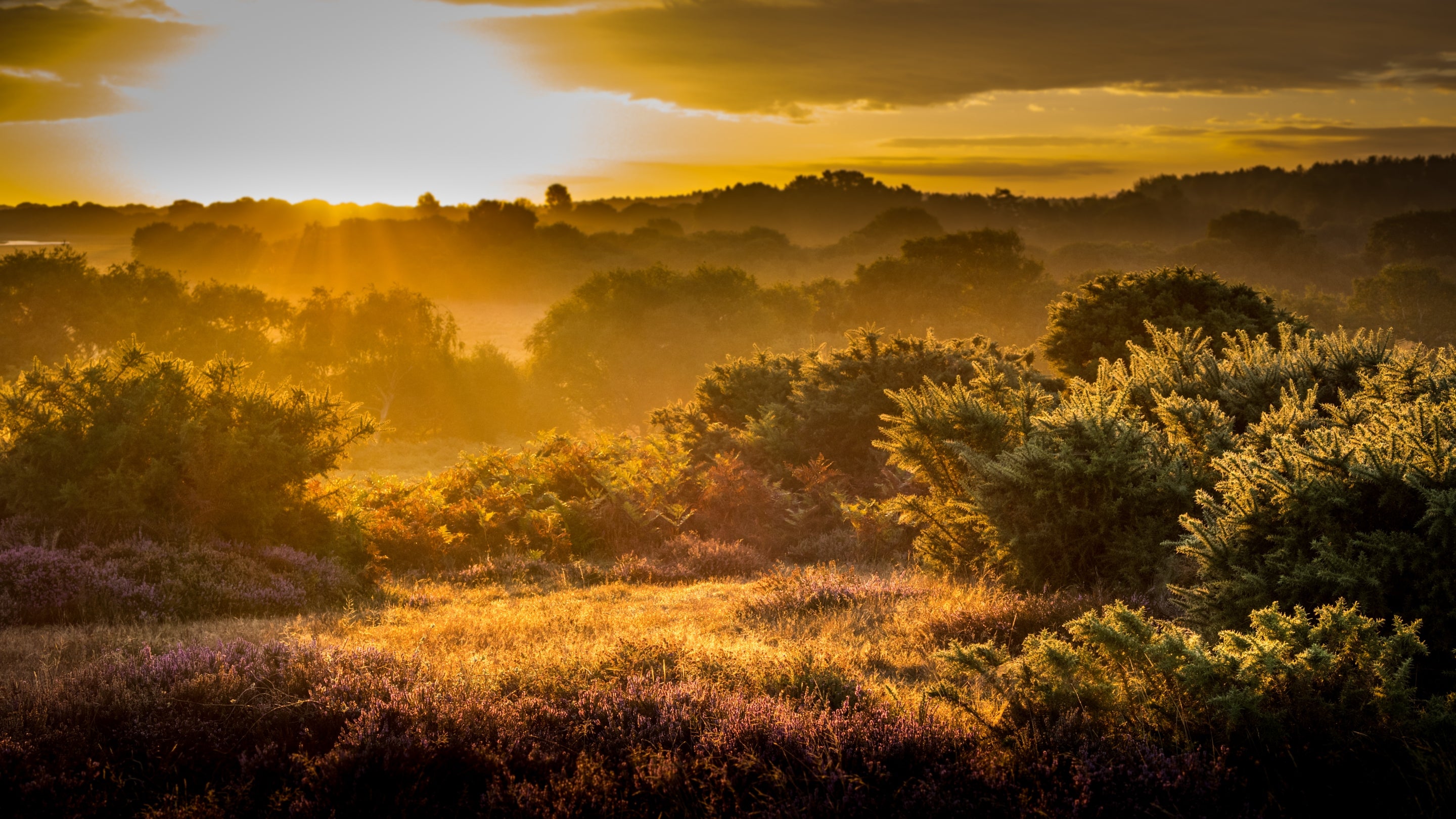 The surrounding area at The Bakehouse, Dorset