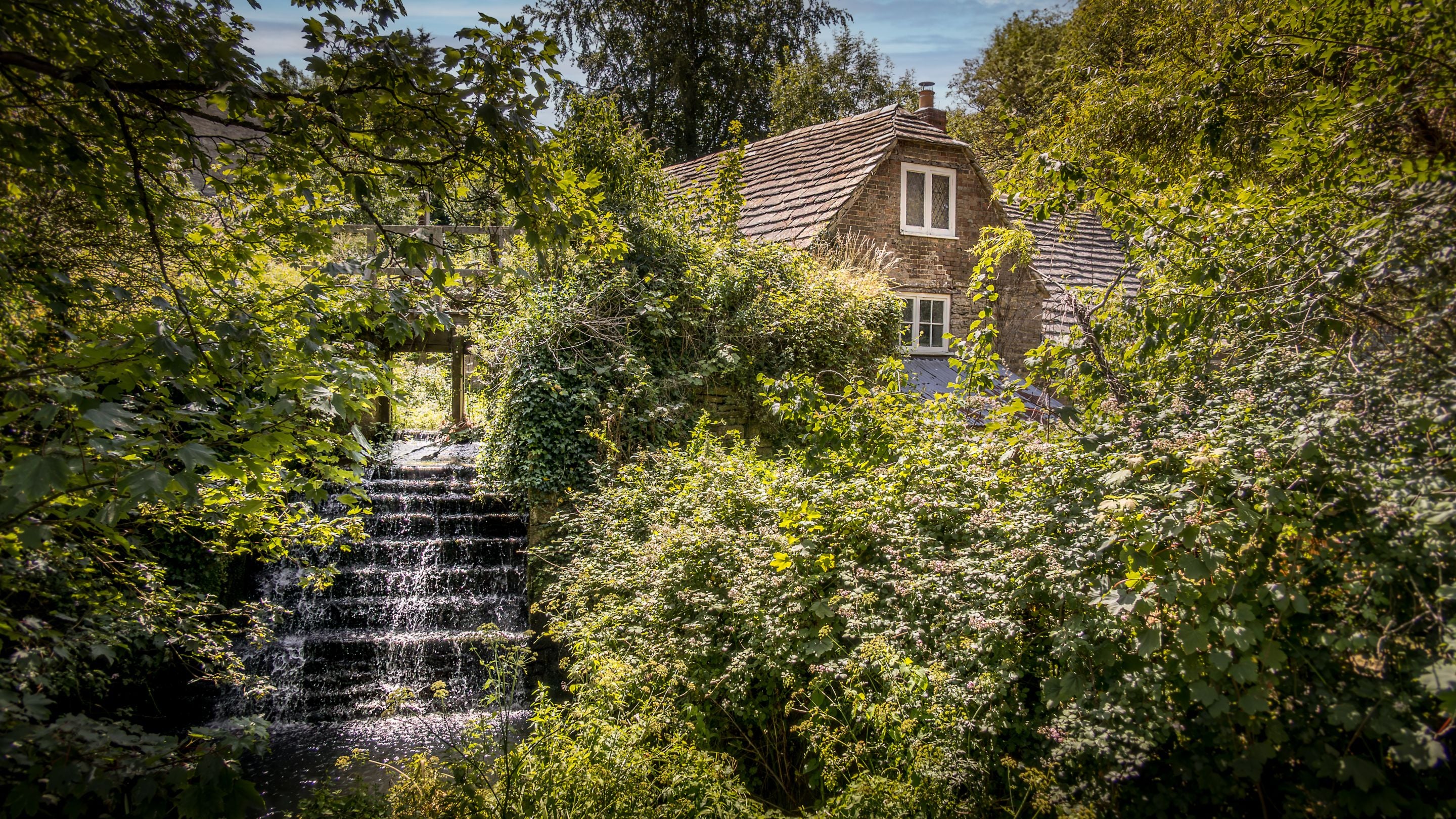 The stream passing the back garden of Boar Mill Cottage, Dorset