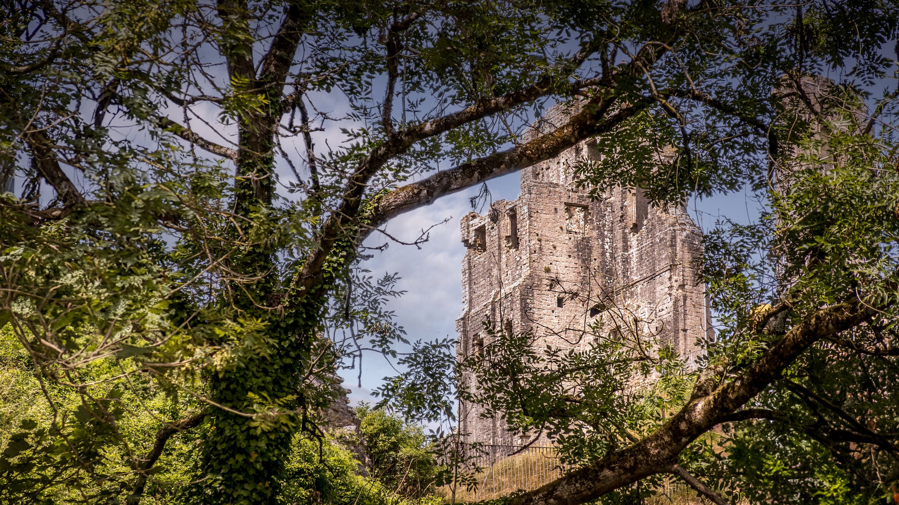 Part of the ruins of Corfe Castle, viewed through trees near Boar Mill Cottage, Dorset