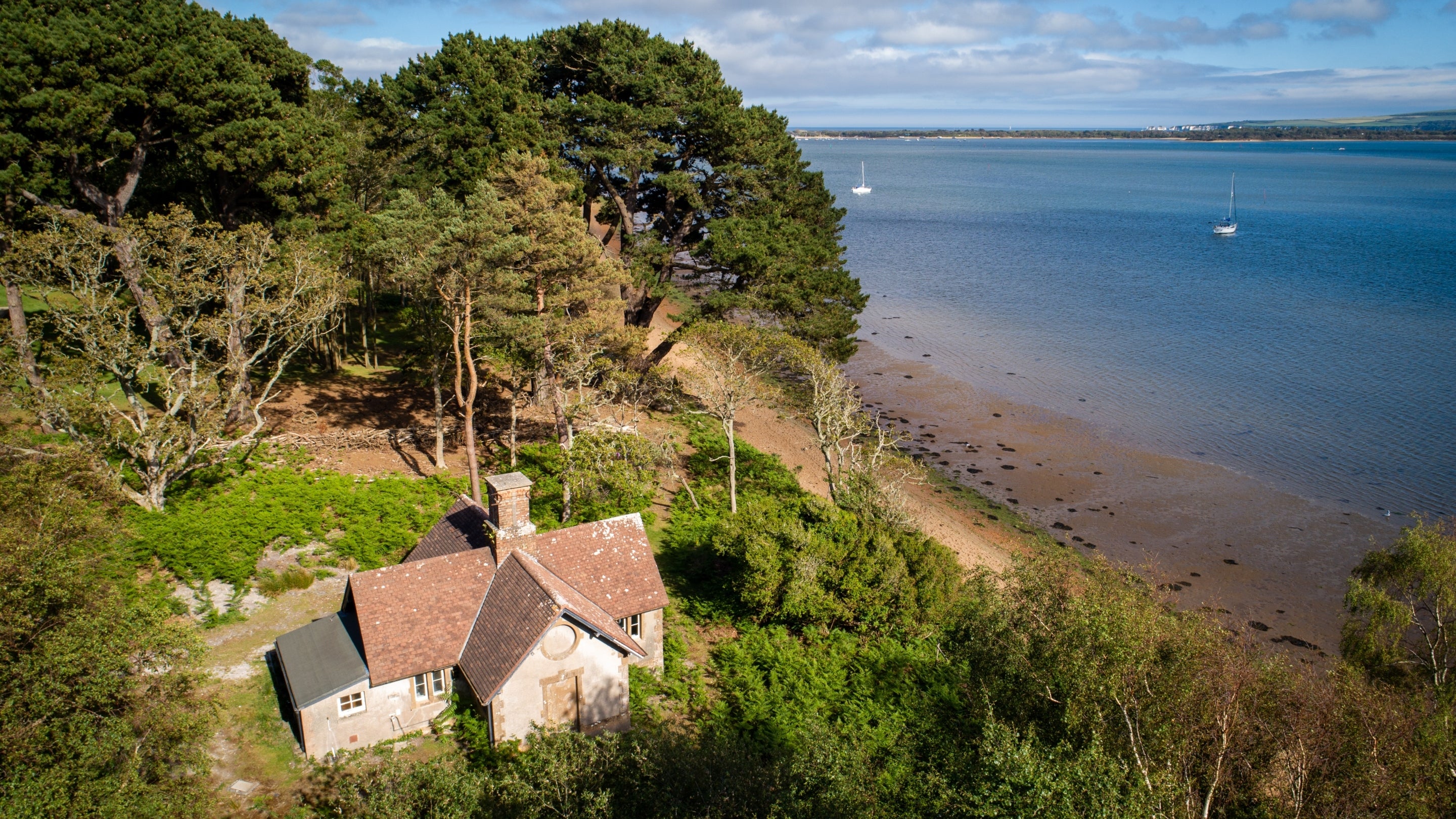 An area of Brownsea Island, Poole