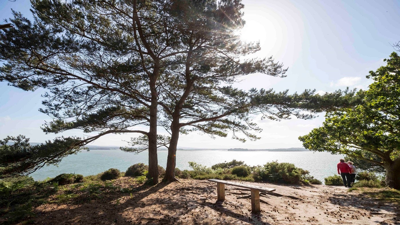 View out across Purbeck from Brownsea Island, Dorset