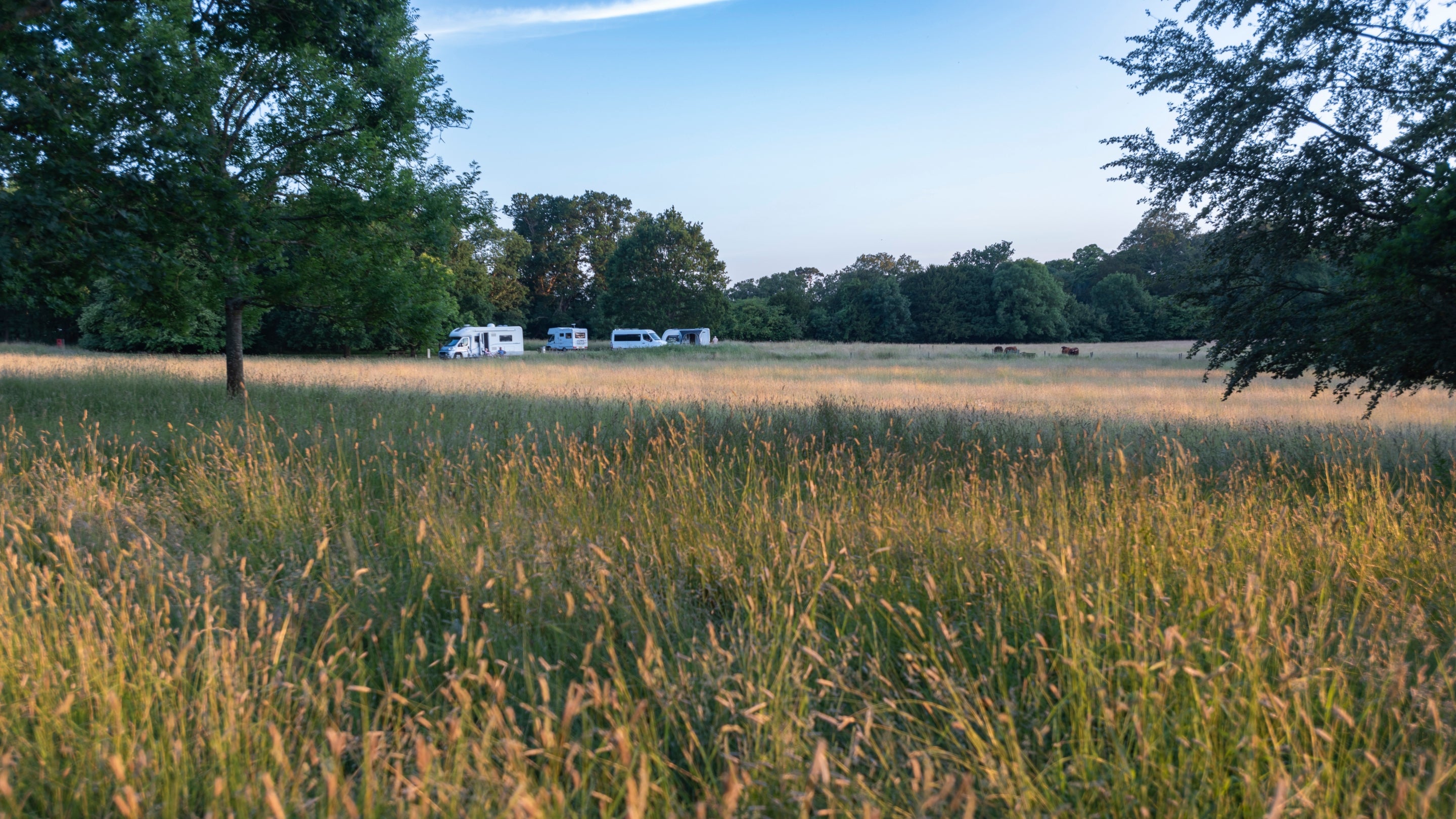 Kingston Lacy Motorhome Site, Dorset