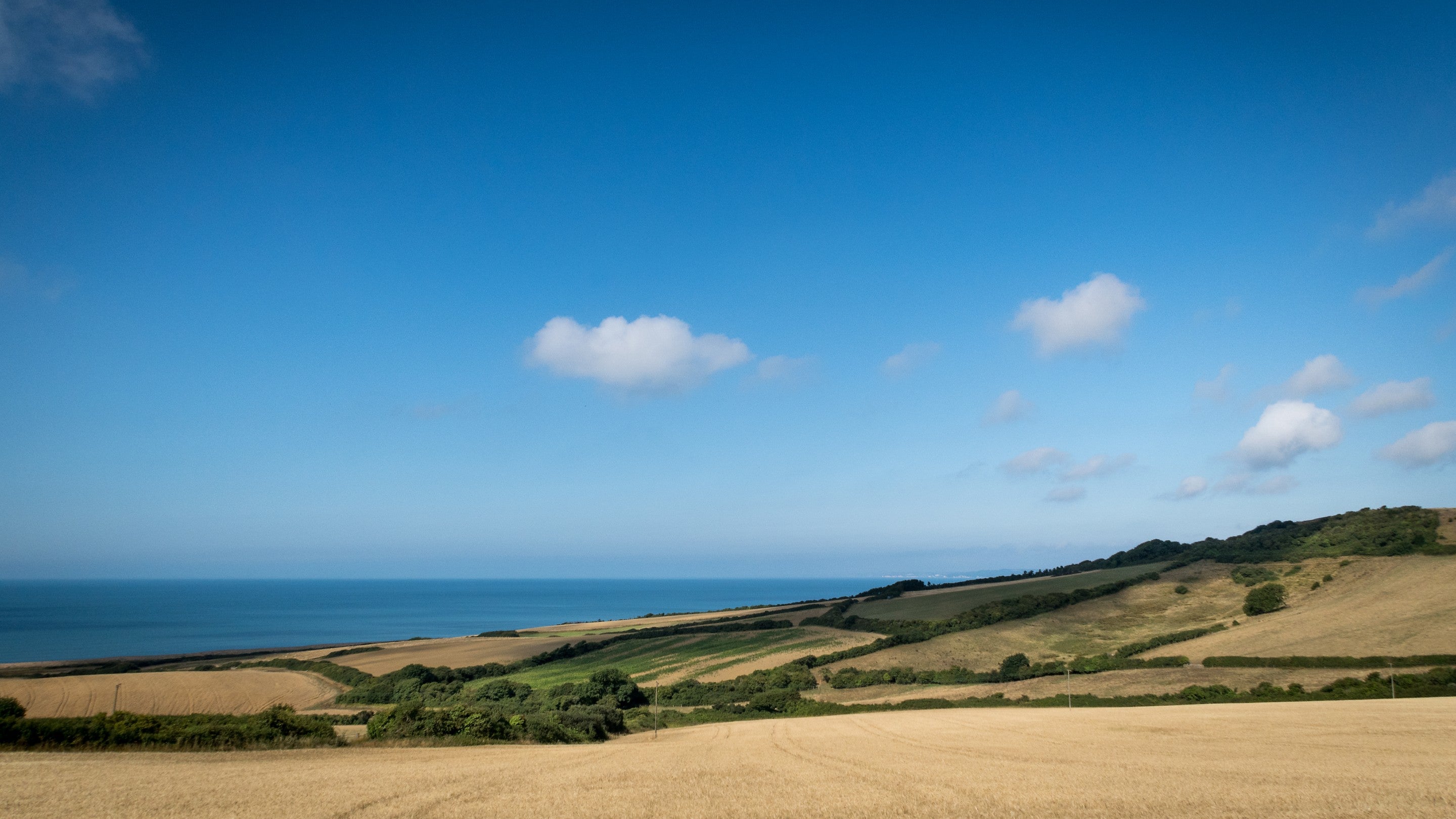 Coastal countryside near Labour in Vain Cottage, Dorset