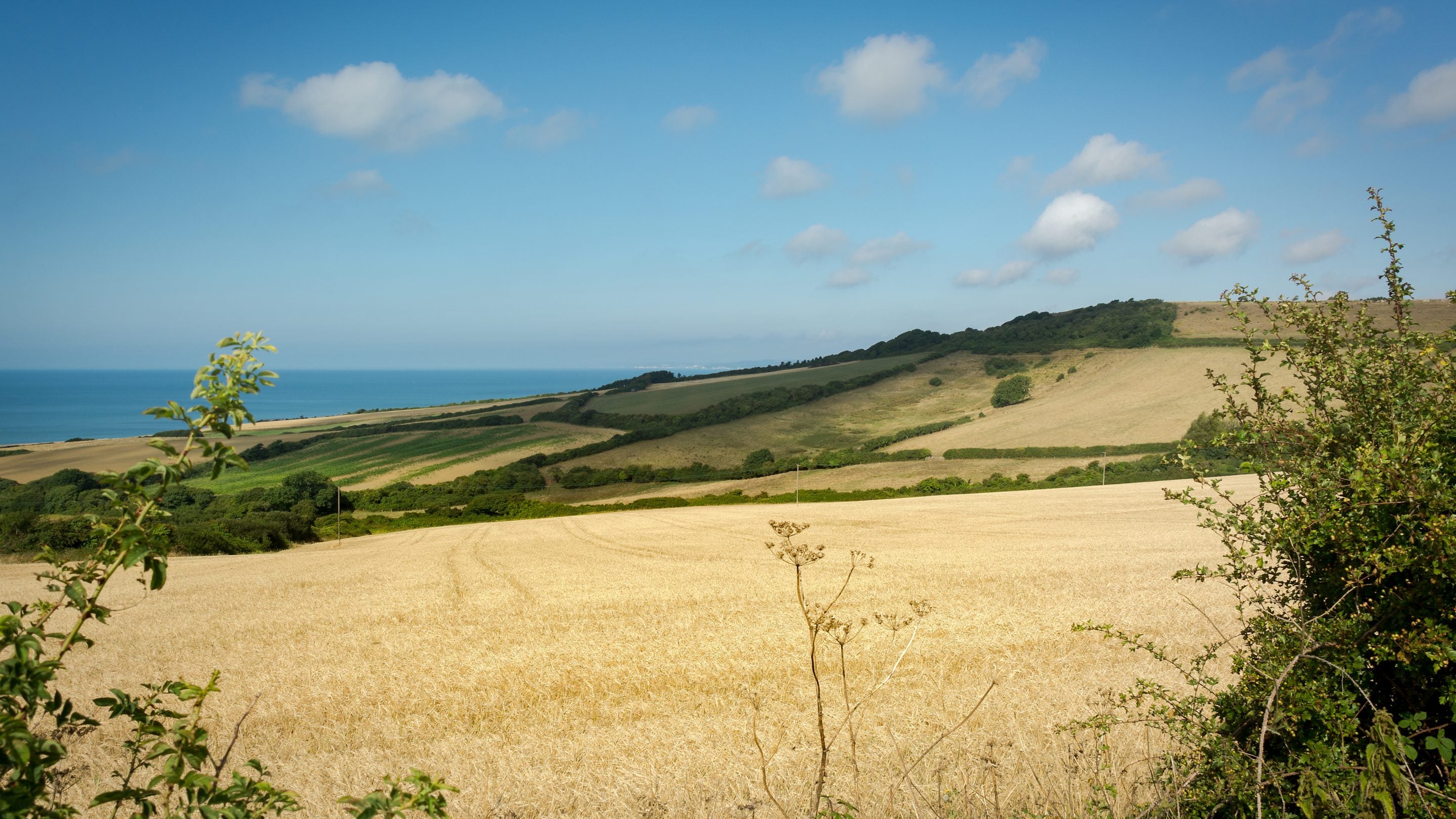 Coastal farmland near Labour in Vain Cottage, looking towards St Catherine's Chapel, Dorset