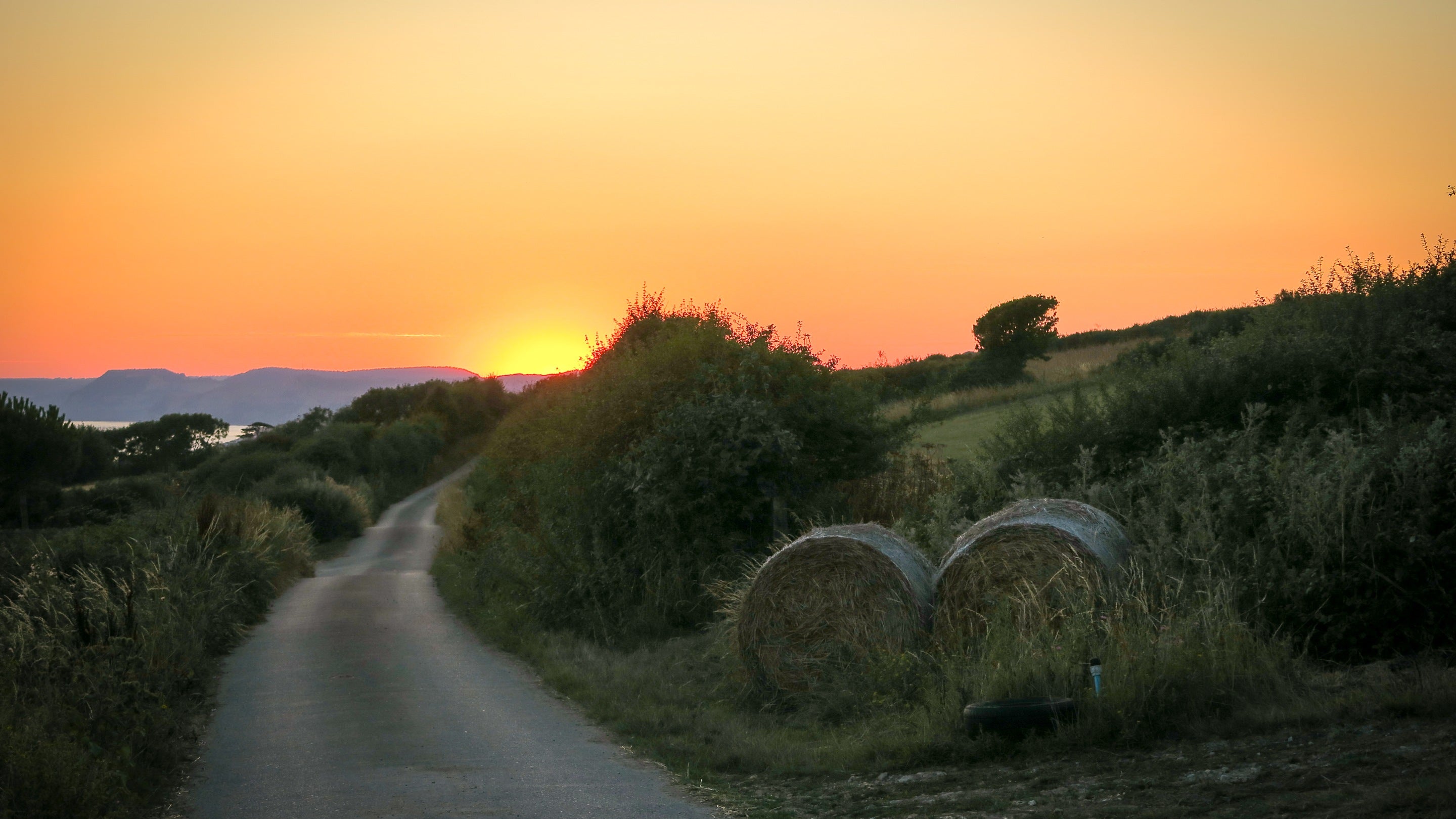 Looking down the farm lane from Labour in Vain Cottage at sunset, Dorset