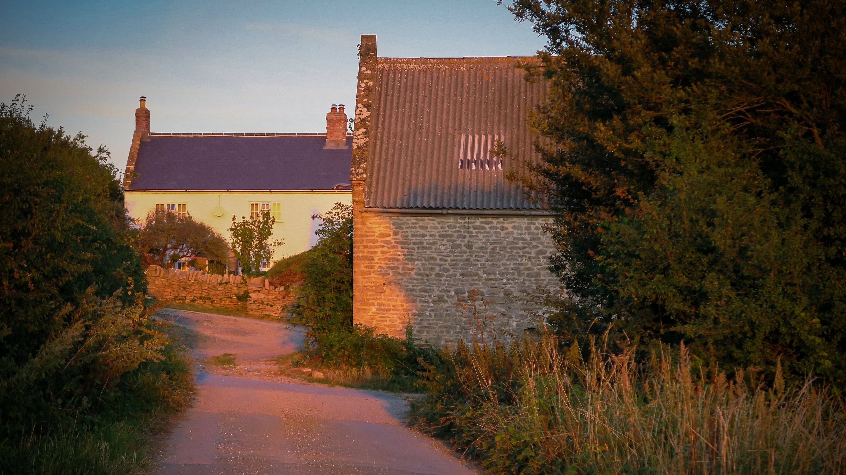 The farm lane to Labour in Vain Cottage (before refurbishment), Dorset