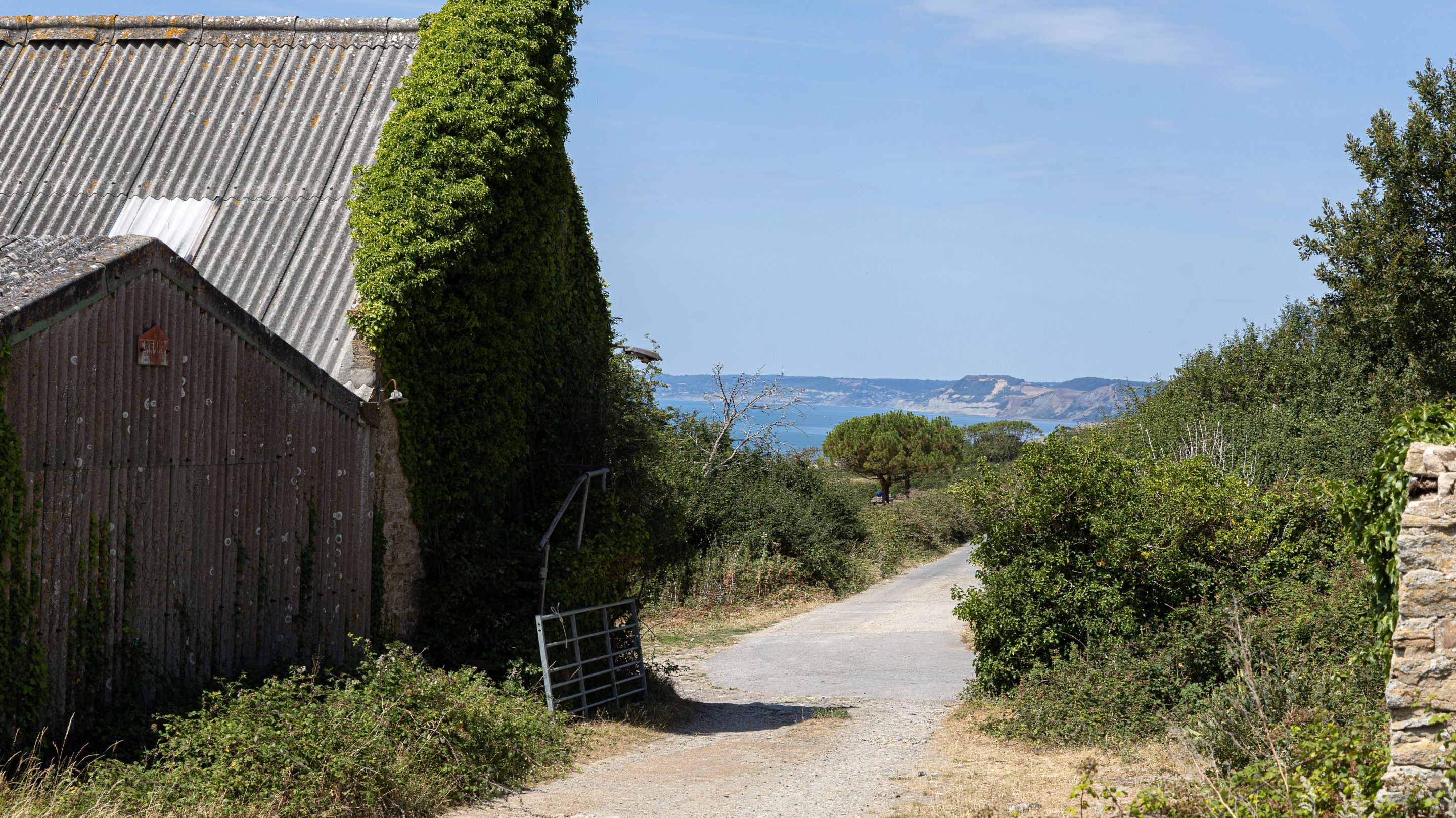 The road leading to the farm at Labour in Vain Cottage, Dorset