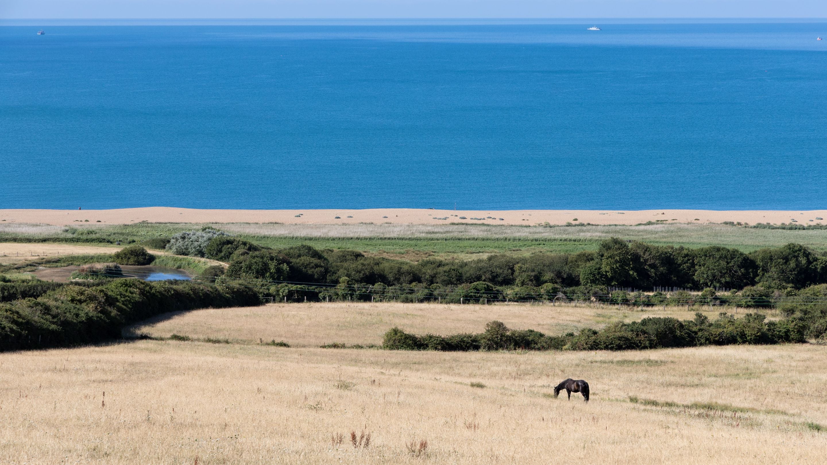 The area surrounding Labour in Vain Cottage and Chesil Cottage, Dorset