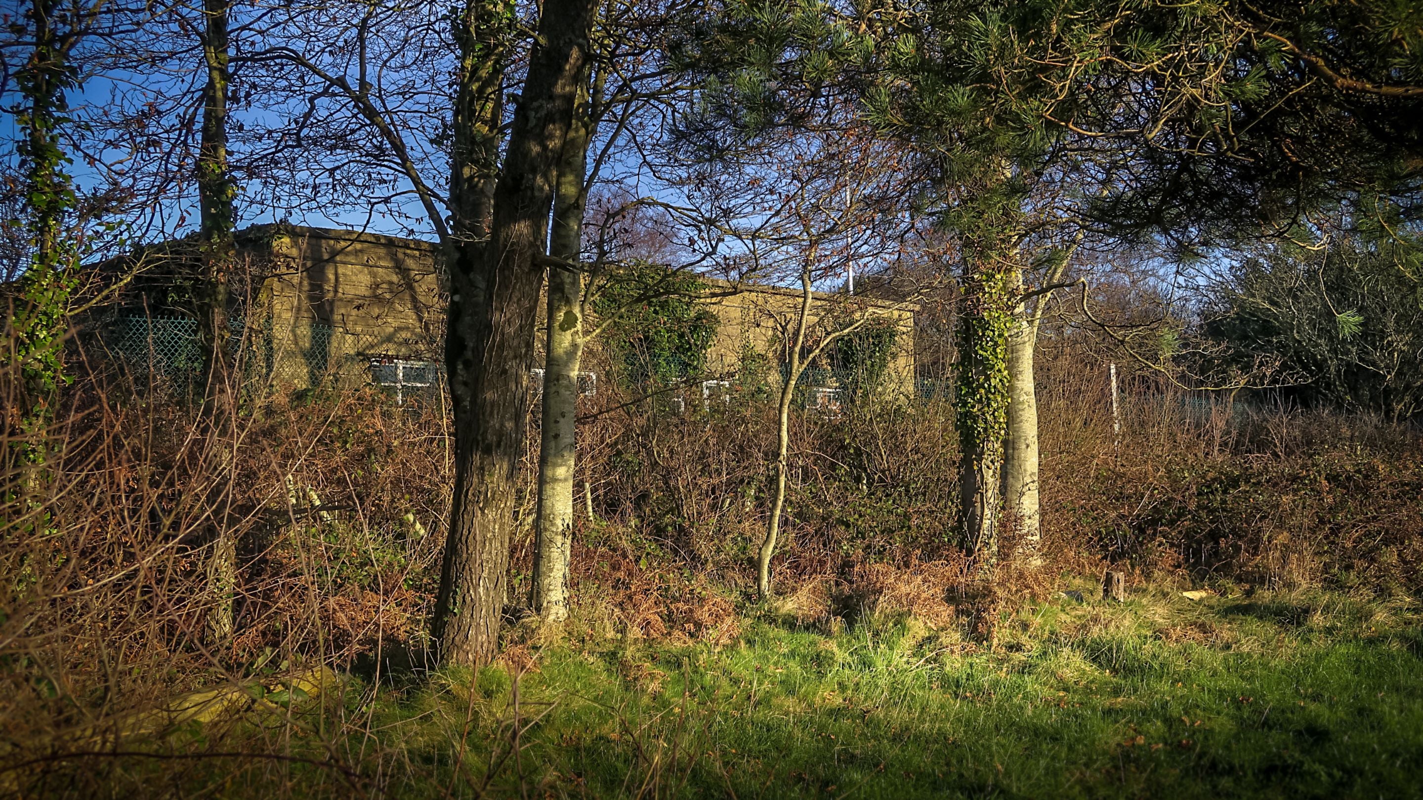The Old Radar Station through the trees, Dorset
