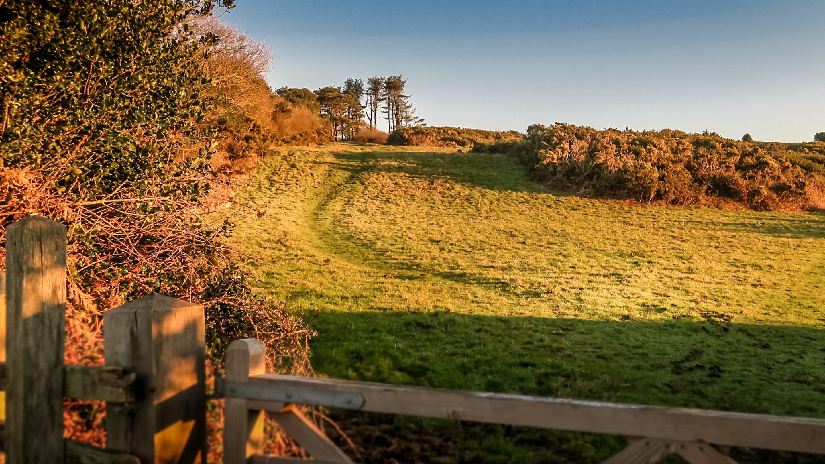 The area surrounding the Old Radar Station, Dorset