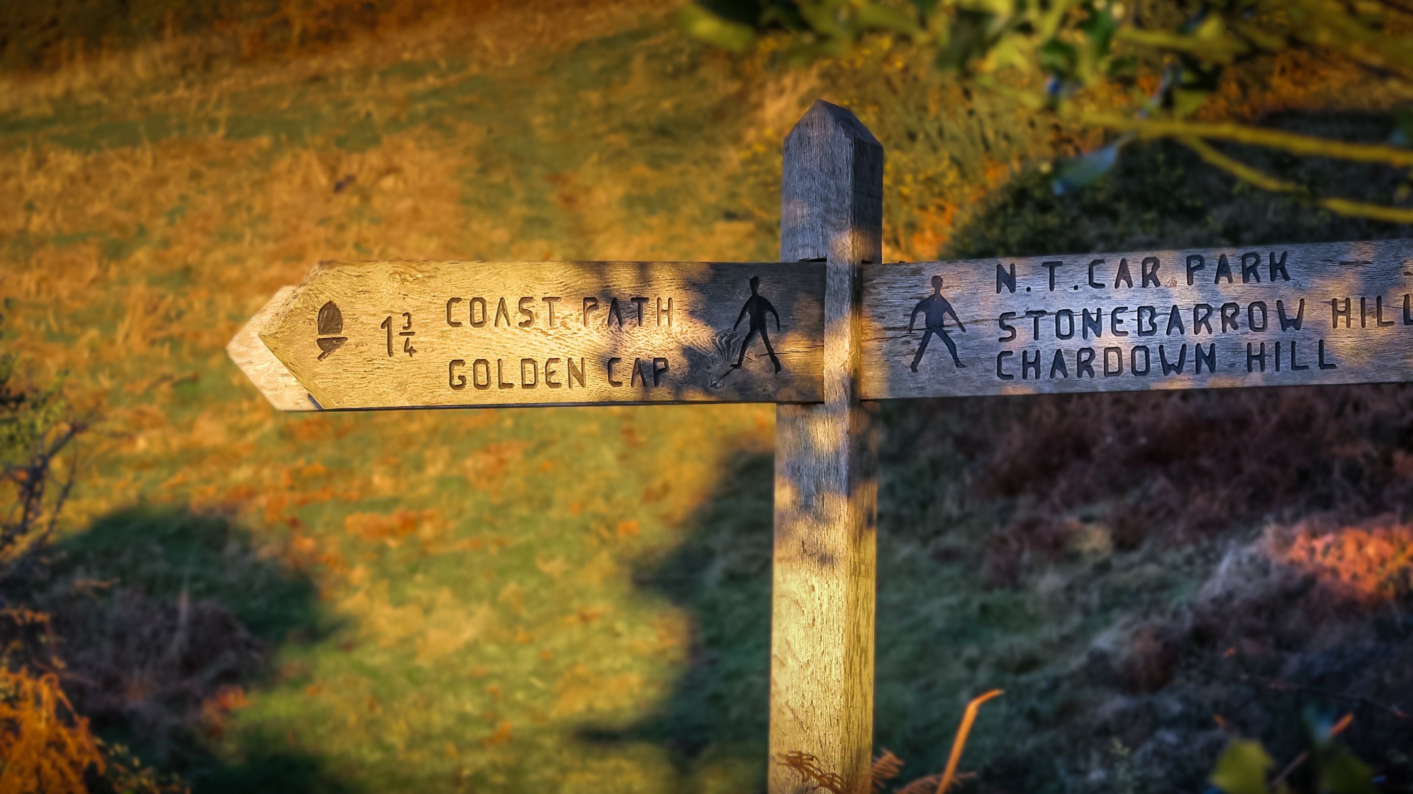 The area surrounding the Old Radar Station, Dorset