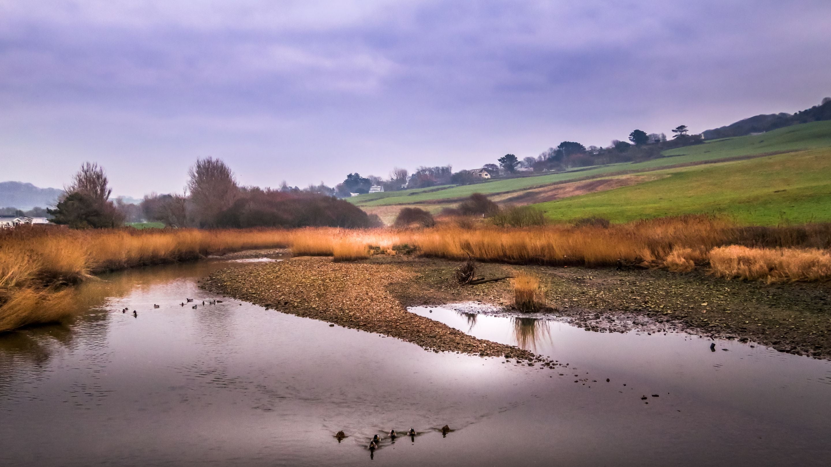 The area surrounding the Old Radar Station, Dorset
