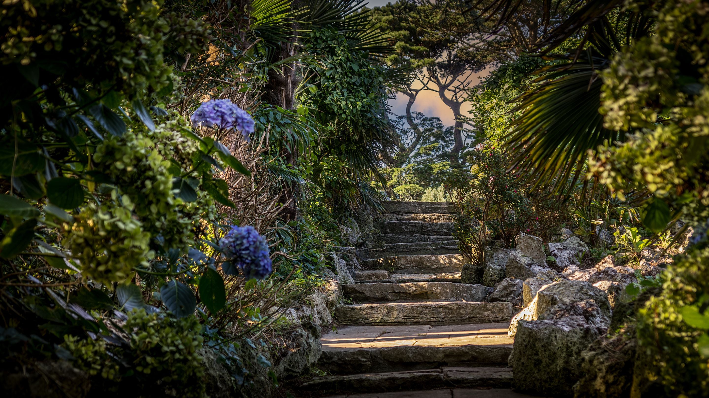 Stone steps through part of the garden at Portland House, Dorset