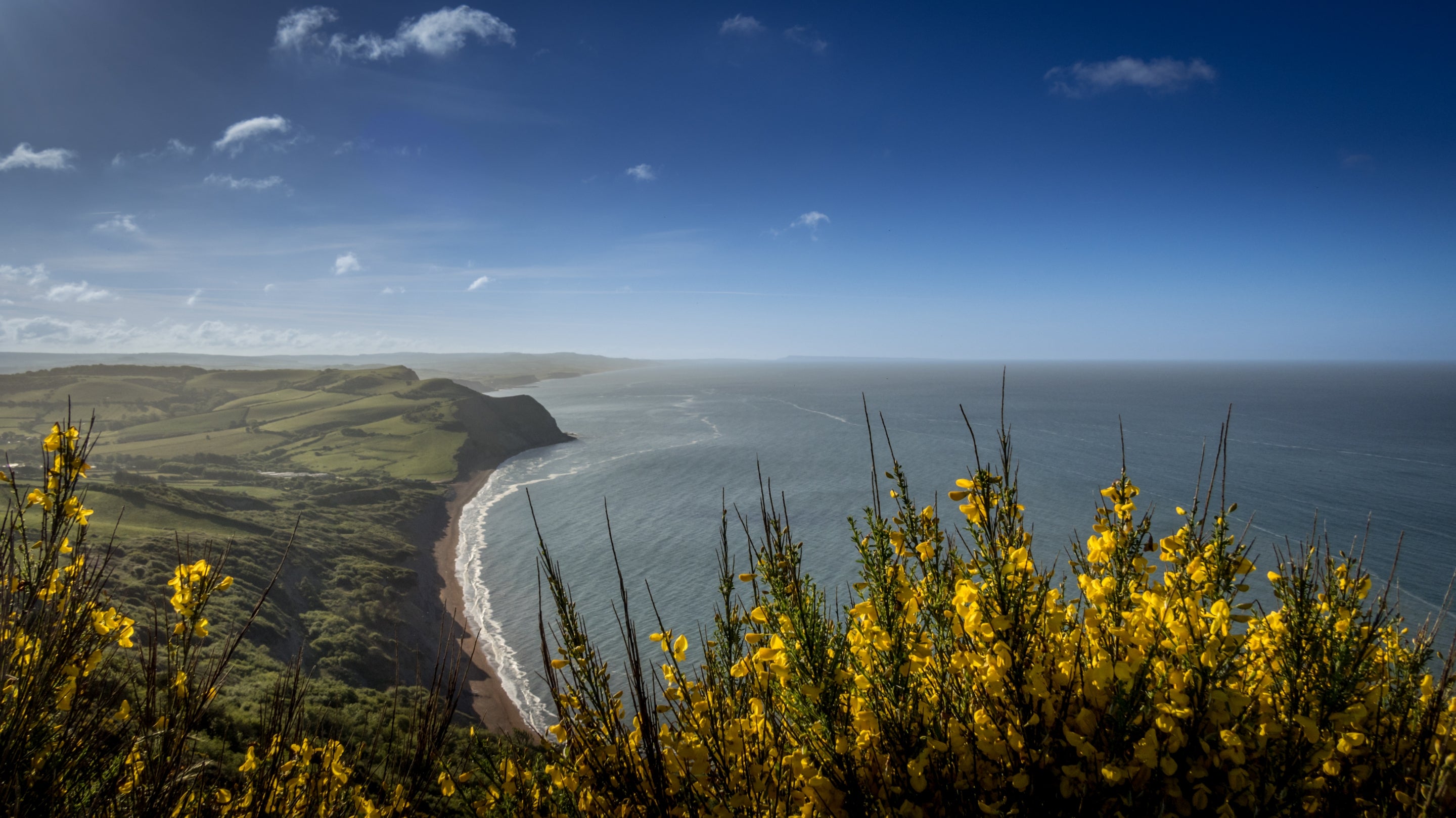 The surrounding area of Shedbush Farm House, Dorset