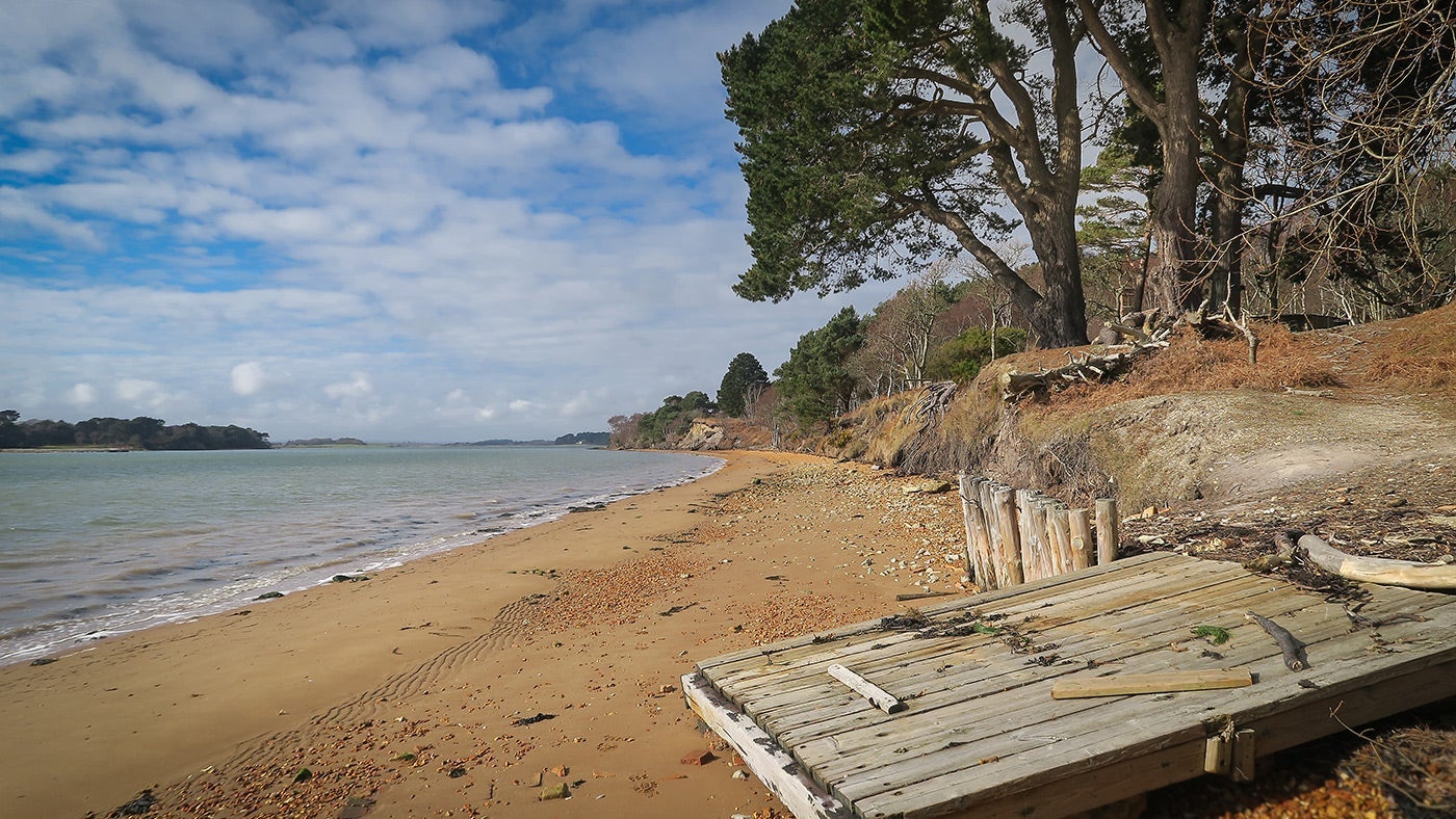 The beach at South Shore Lodge, Brownsea Island