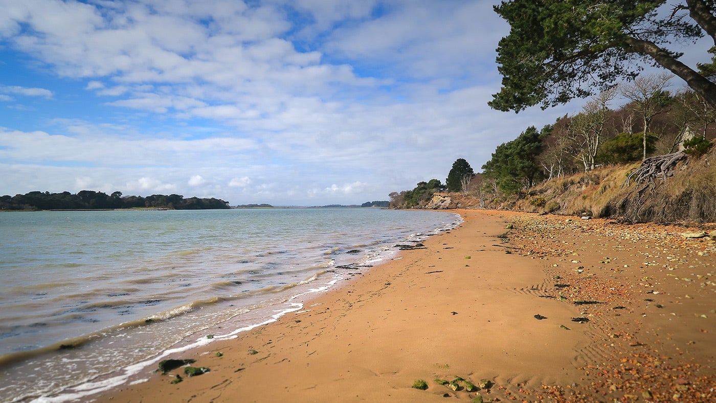 The beach at South Shore Lodge, Brownsea Island