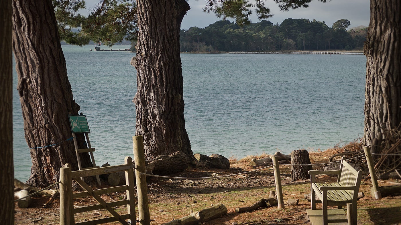 The garden leading down to the beach at South Shore Lodge, Brownsea Island