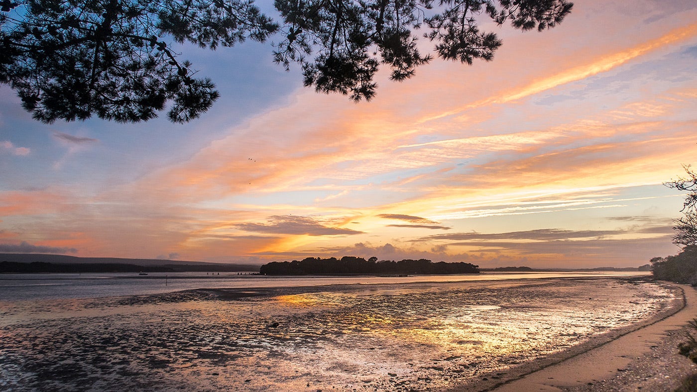 Sunset at South Shore Lodge, Brownsea Island
