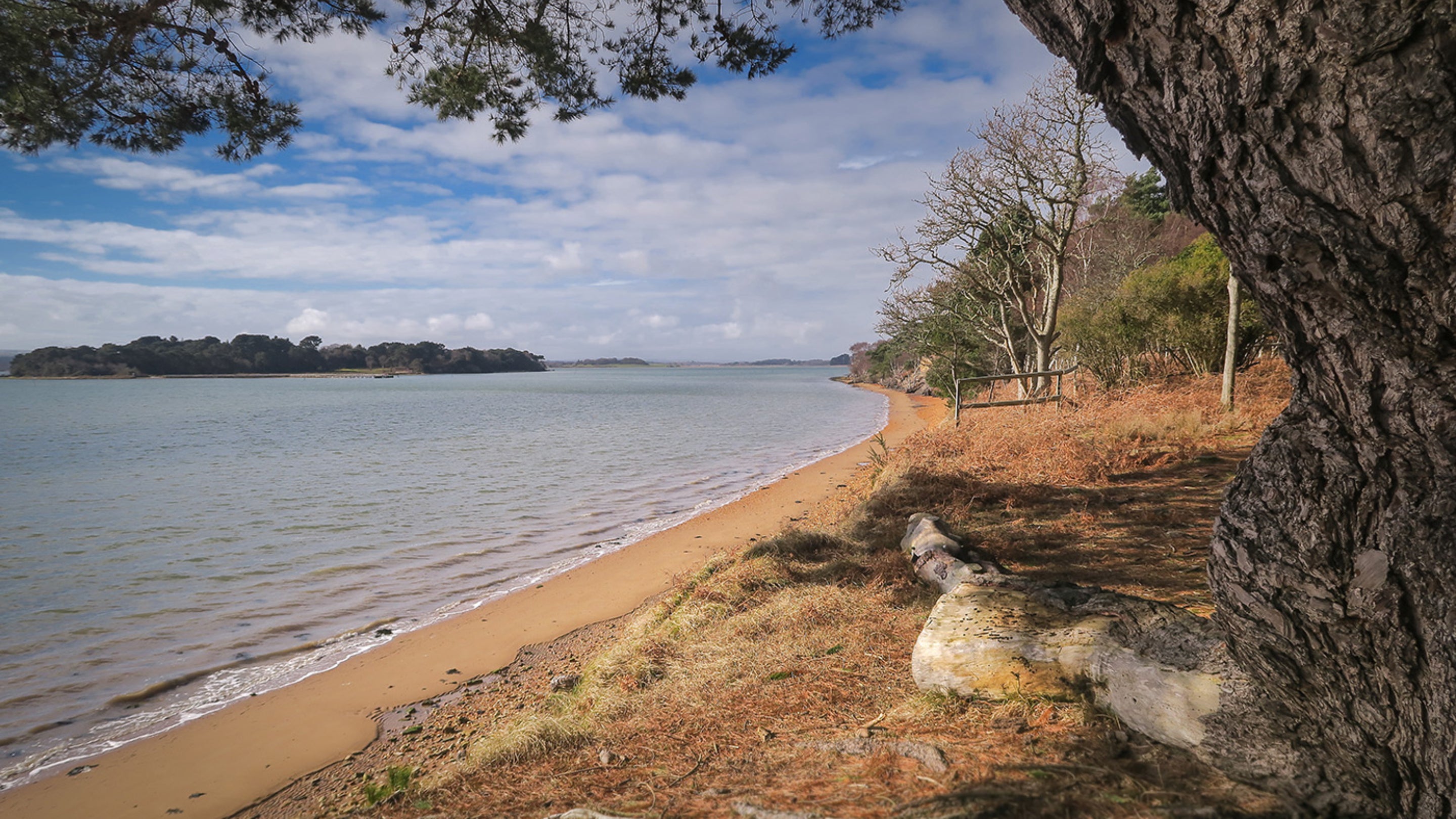The surrounding area of South Shore Lodge Brownsea Island, Dorset
