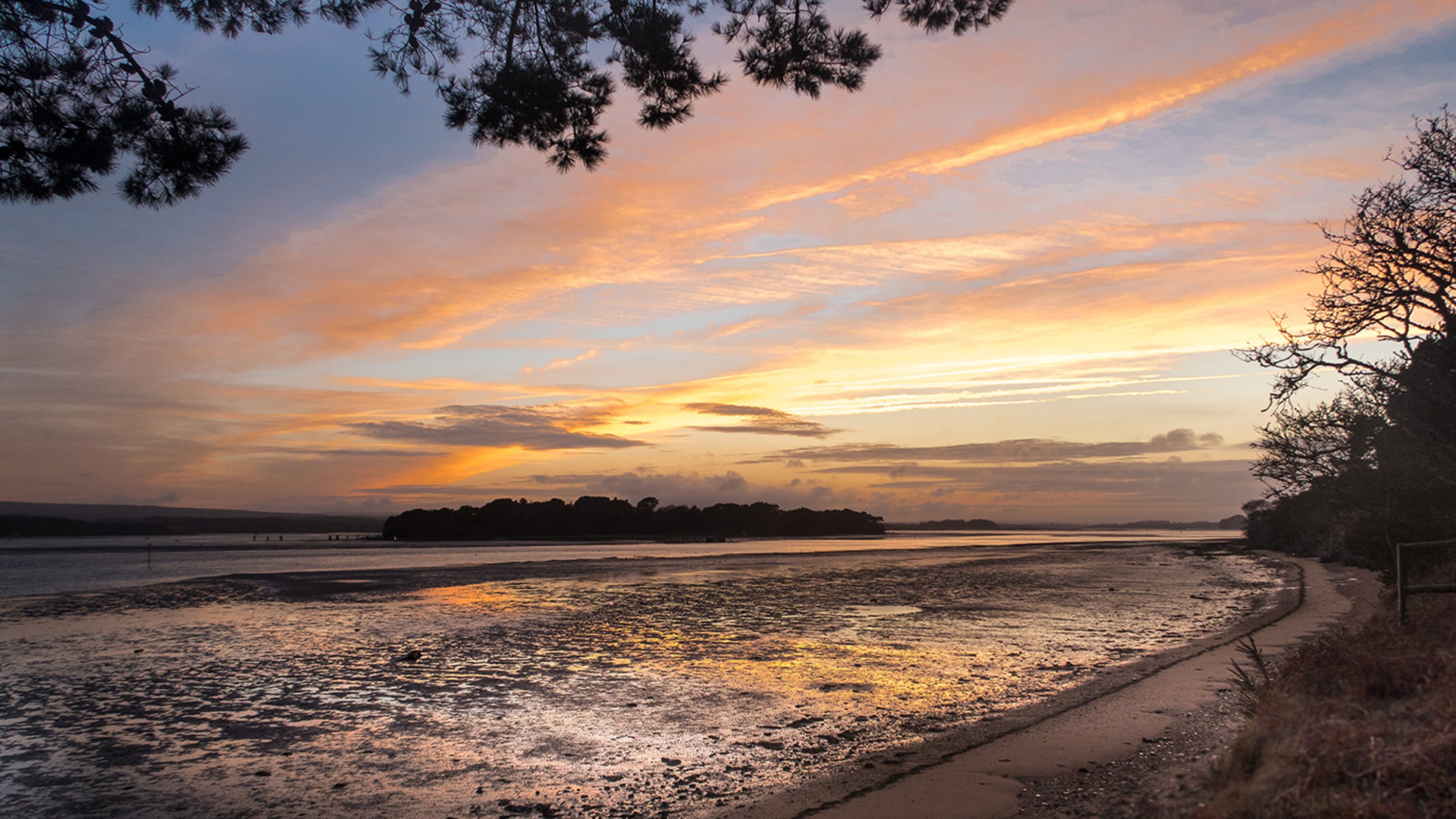 The surrounding area of South Shore Lodge Brownsea Island, Dorset