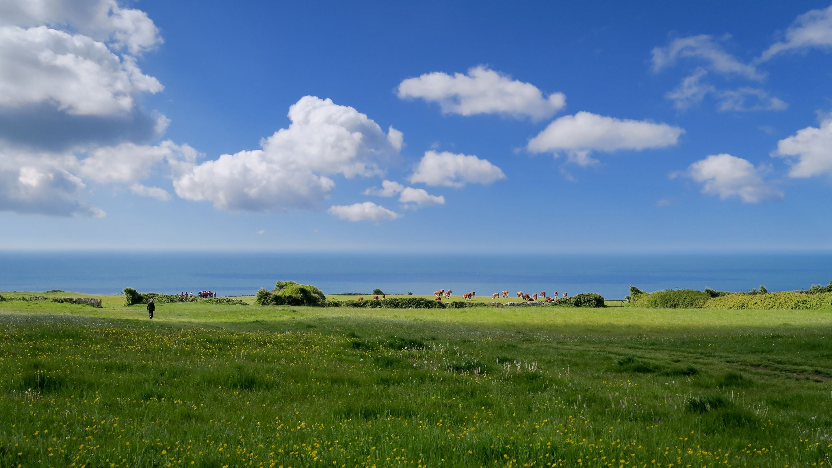 Fields in the area surrounding Spyway and the sea in the distance, Dorset