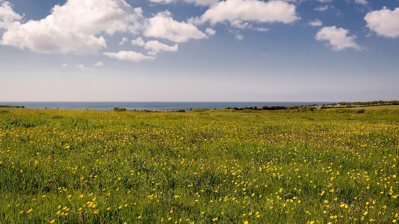 Beautiful Purbeck landscape, Dorset 