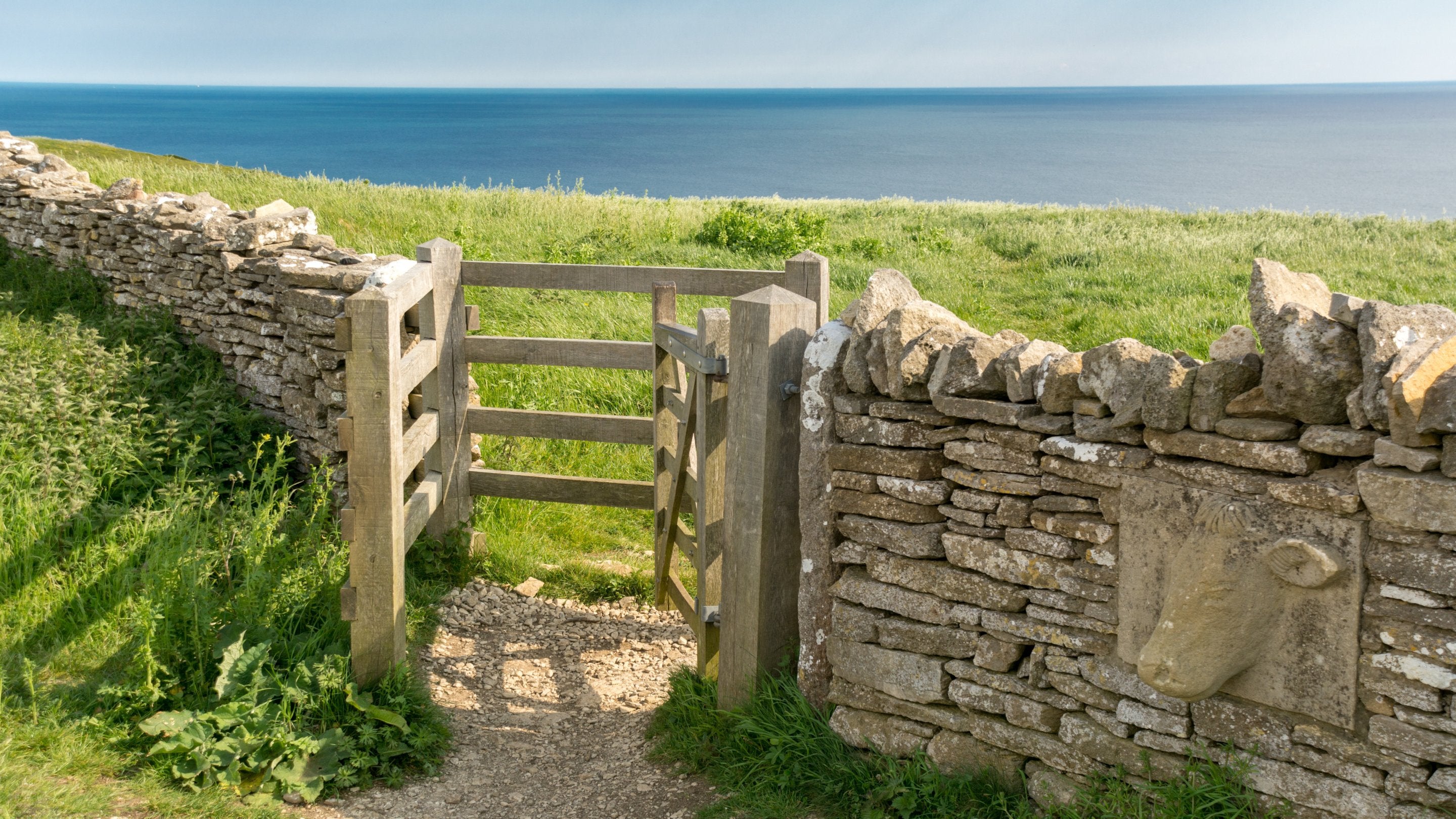 A sea view near Spyway, Dorset