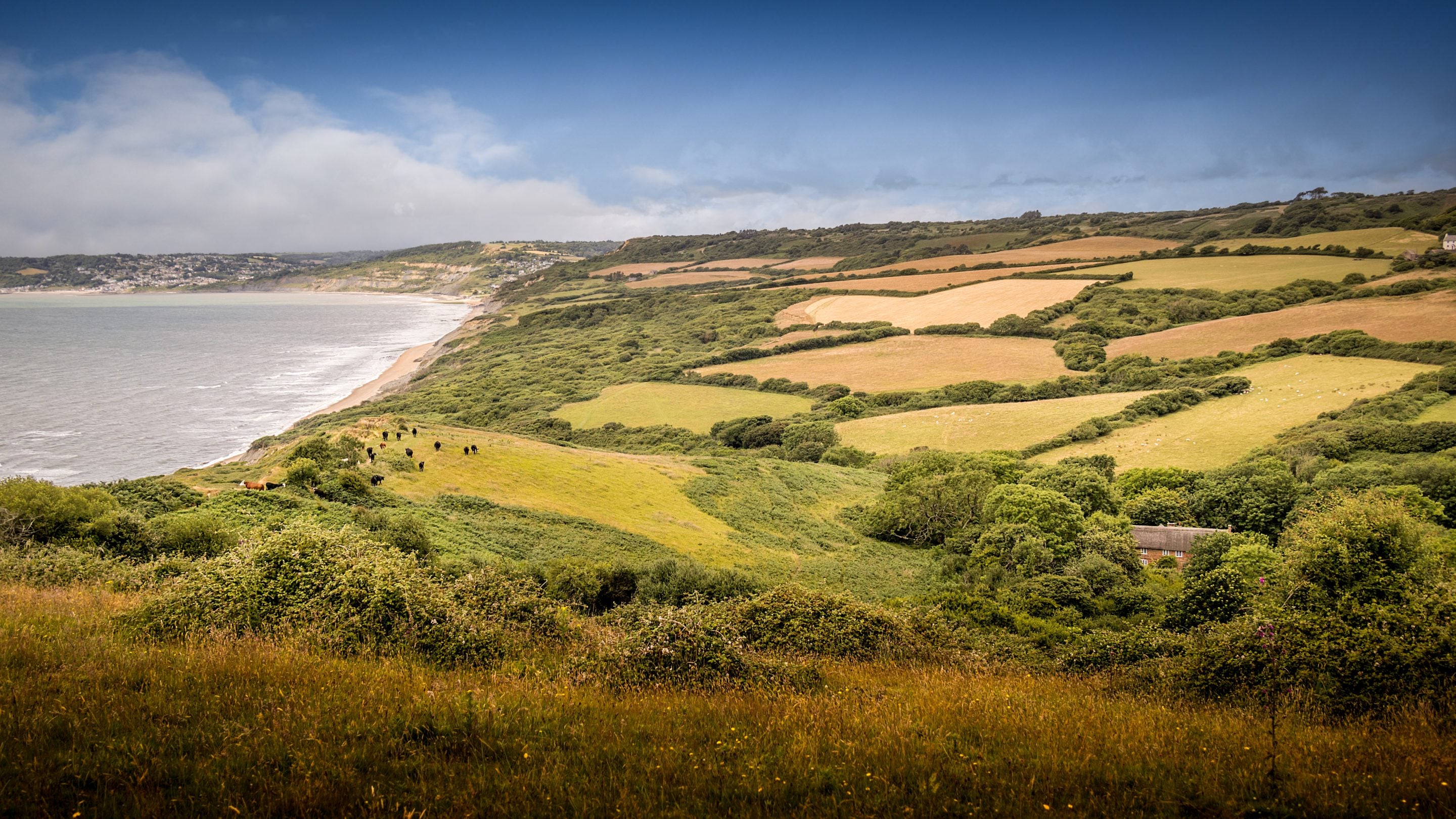 The coast at Golden Cap by St Gabriel's Elm Cottage, Dorset