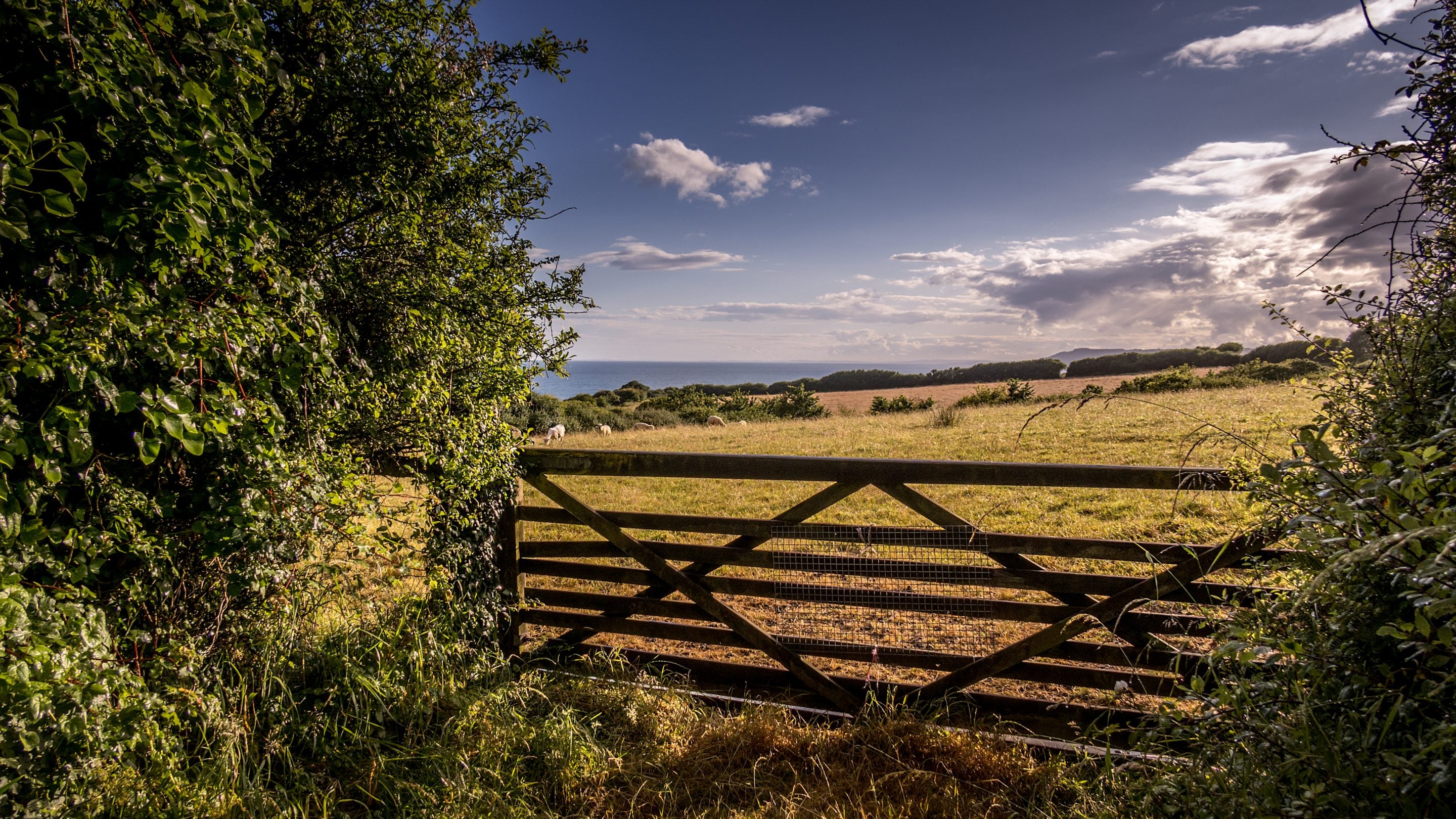 The coast and countryside at Golden Cap by St Gabriel's Elm Cottage, Dorset