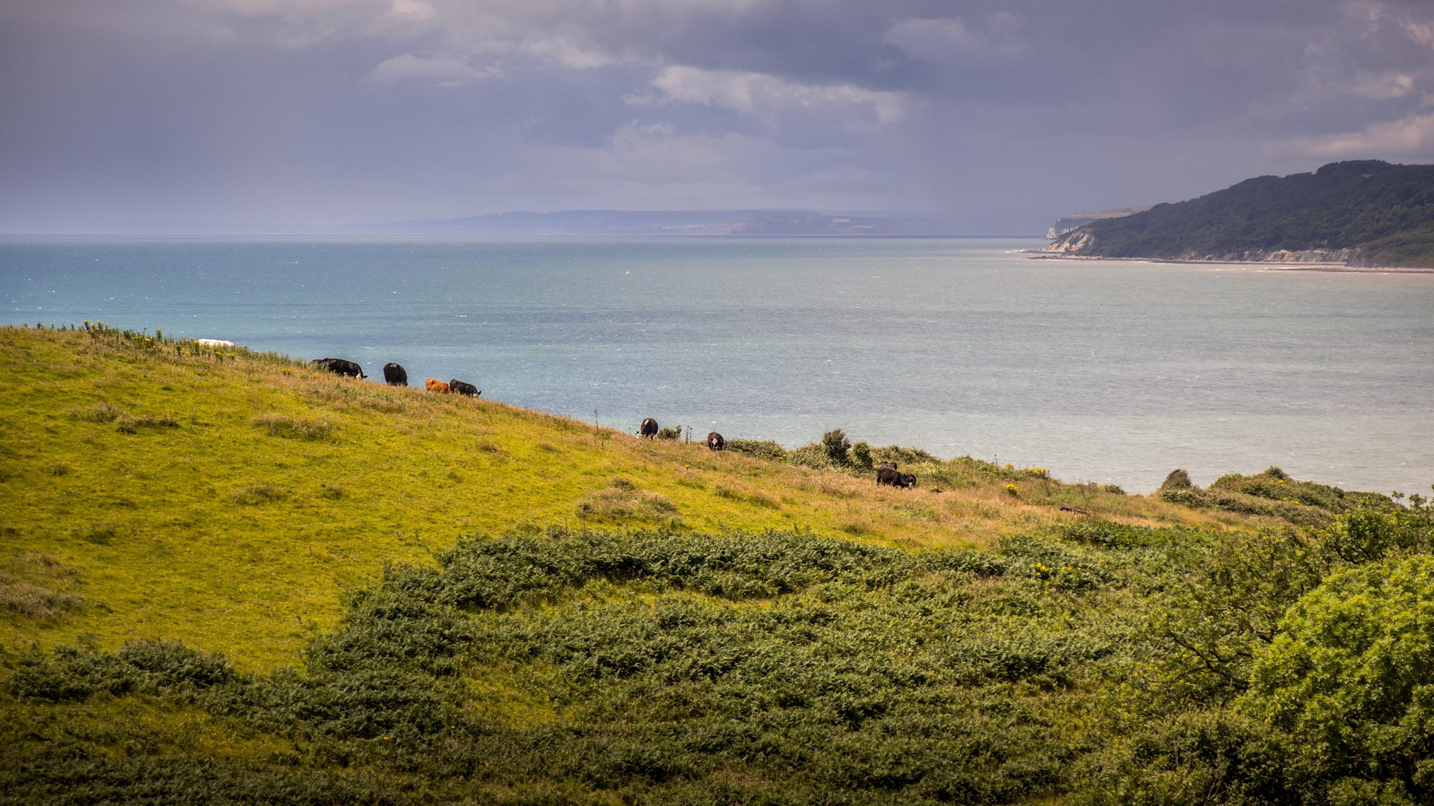 The area surrounding St Gabriel's Elm Cottage, Dorset