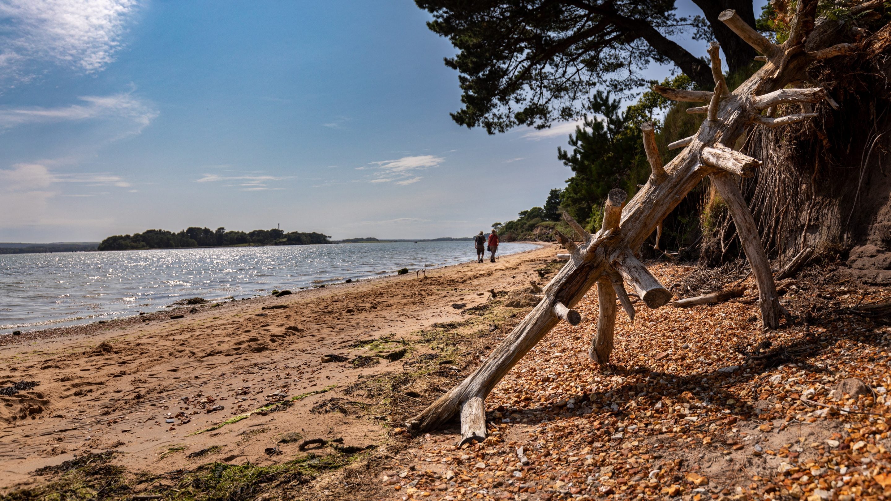 The beach by St Mark's Bothy, Brownsea Island, Dorset