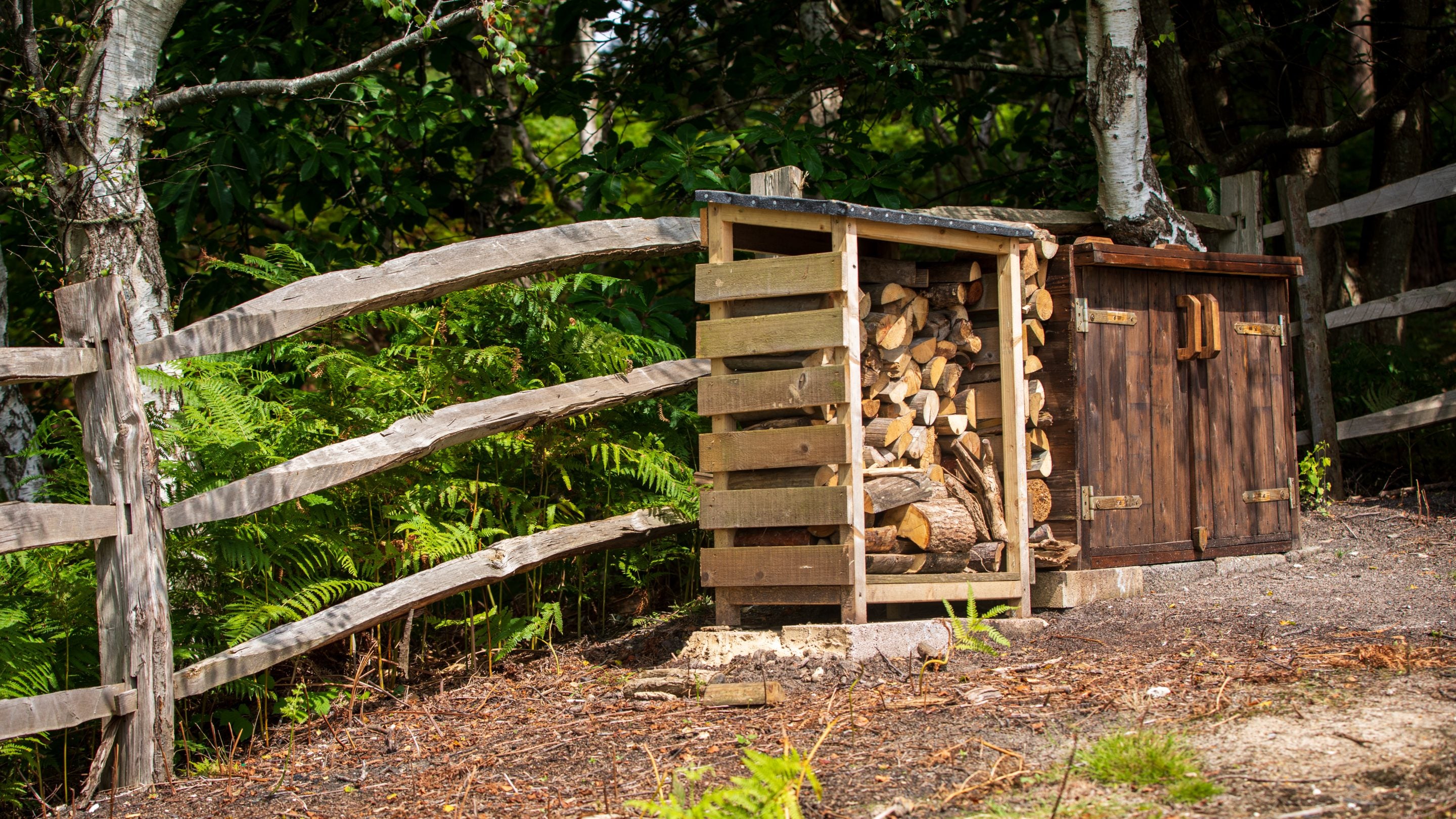 The woodstore at St Mark's Bothy, Brownsea Island, Dorset