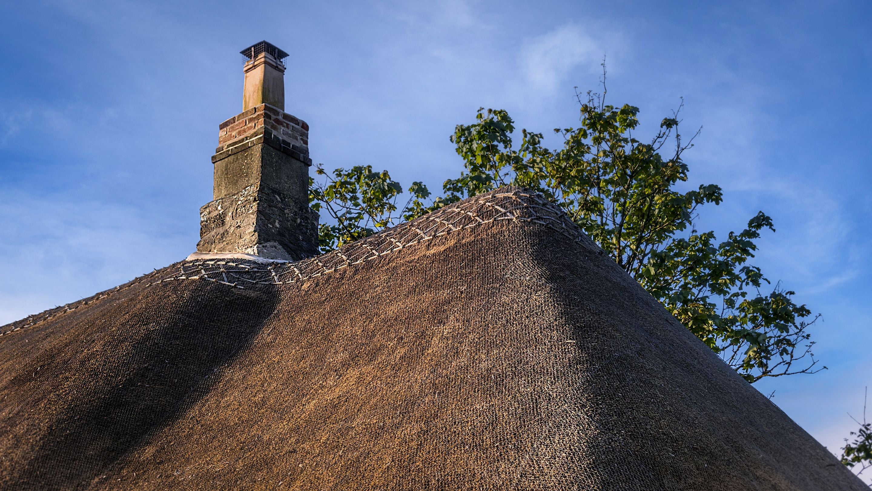A close-up photo of the thatched roof at Vineyard Farm Cottage, Dorset