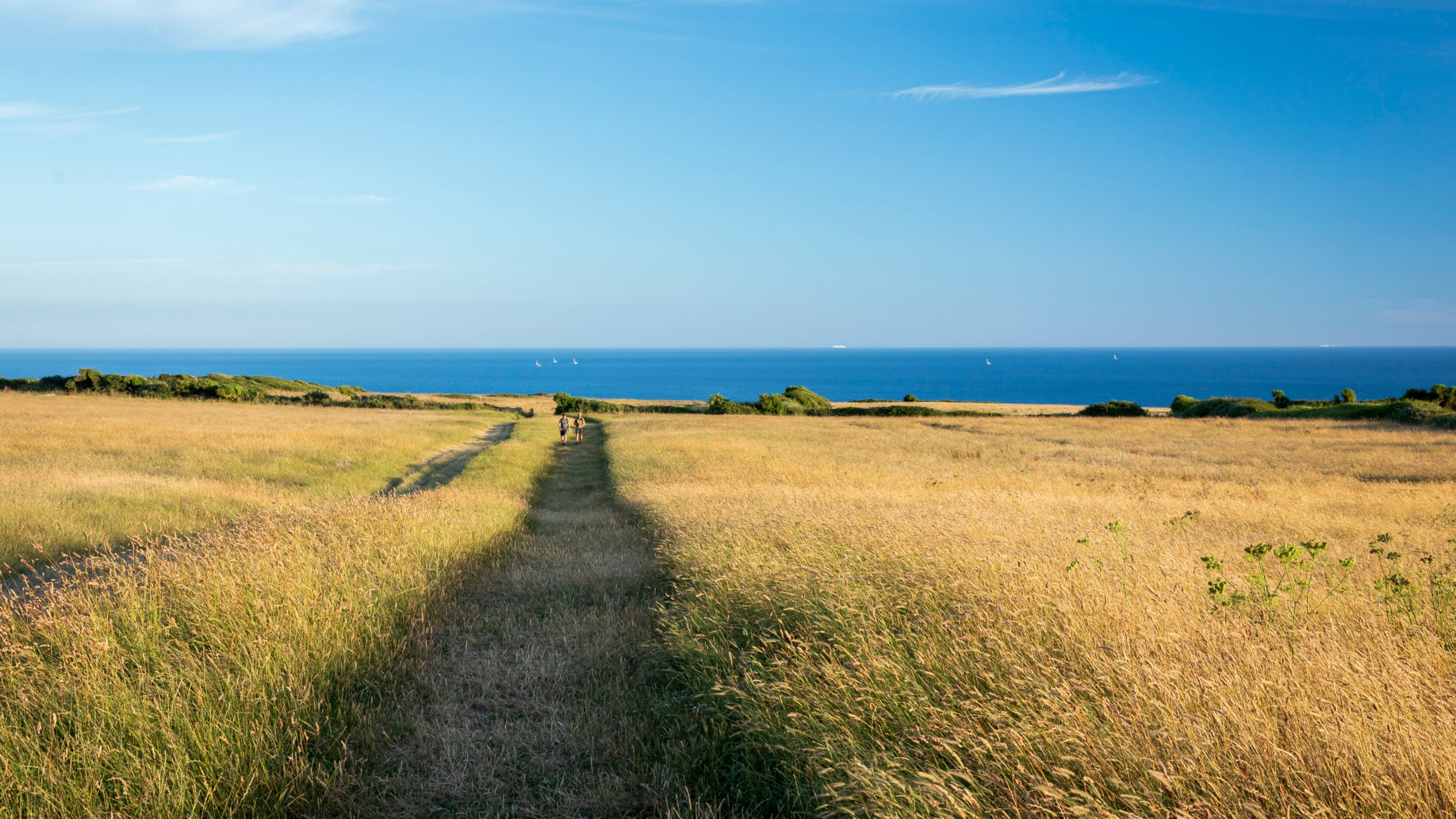 The area surrounding Weston Farm Campsite, Dorset