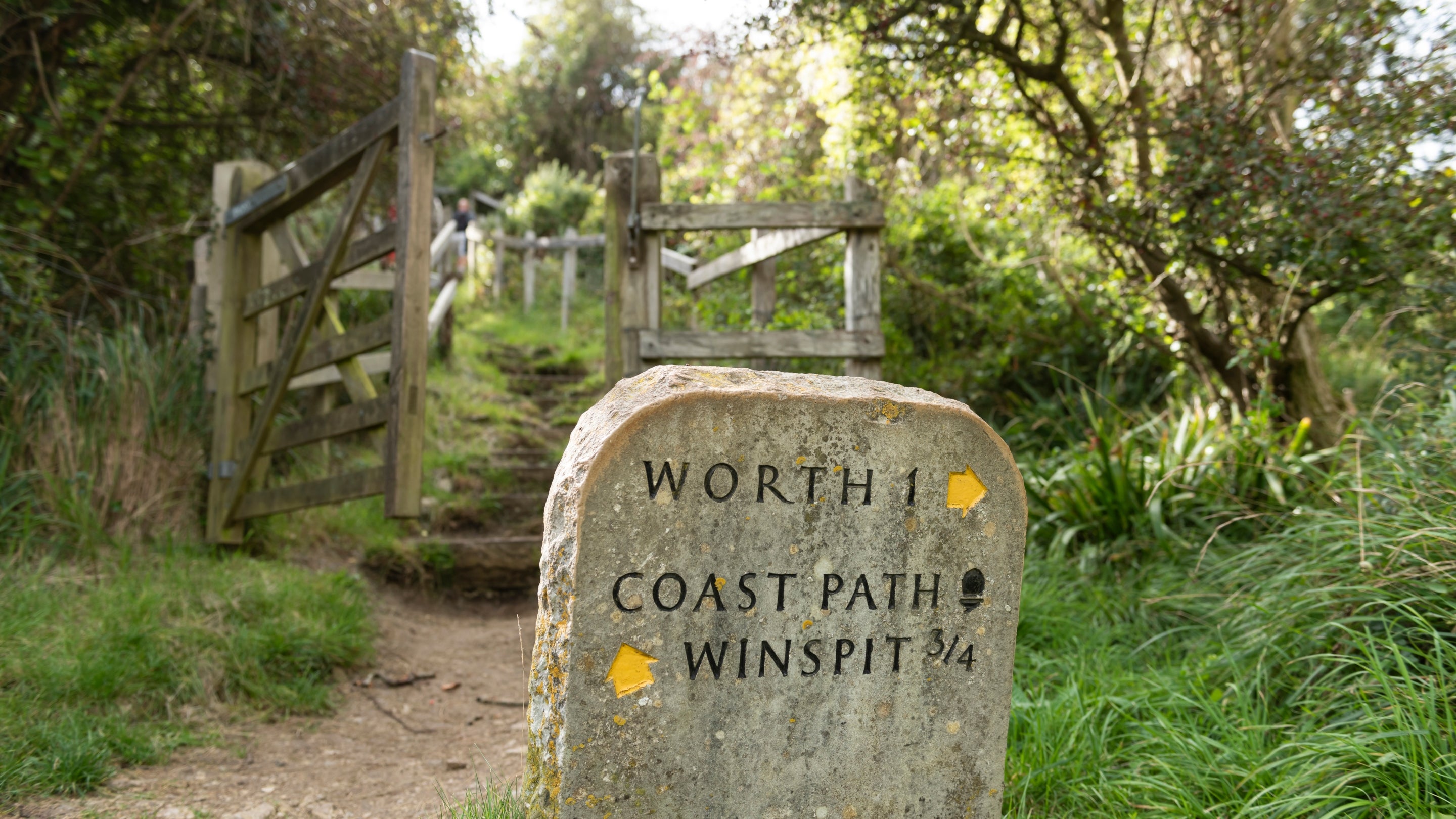 The area surrounding Weston Farm Motorhome Site, Dorset