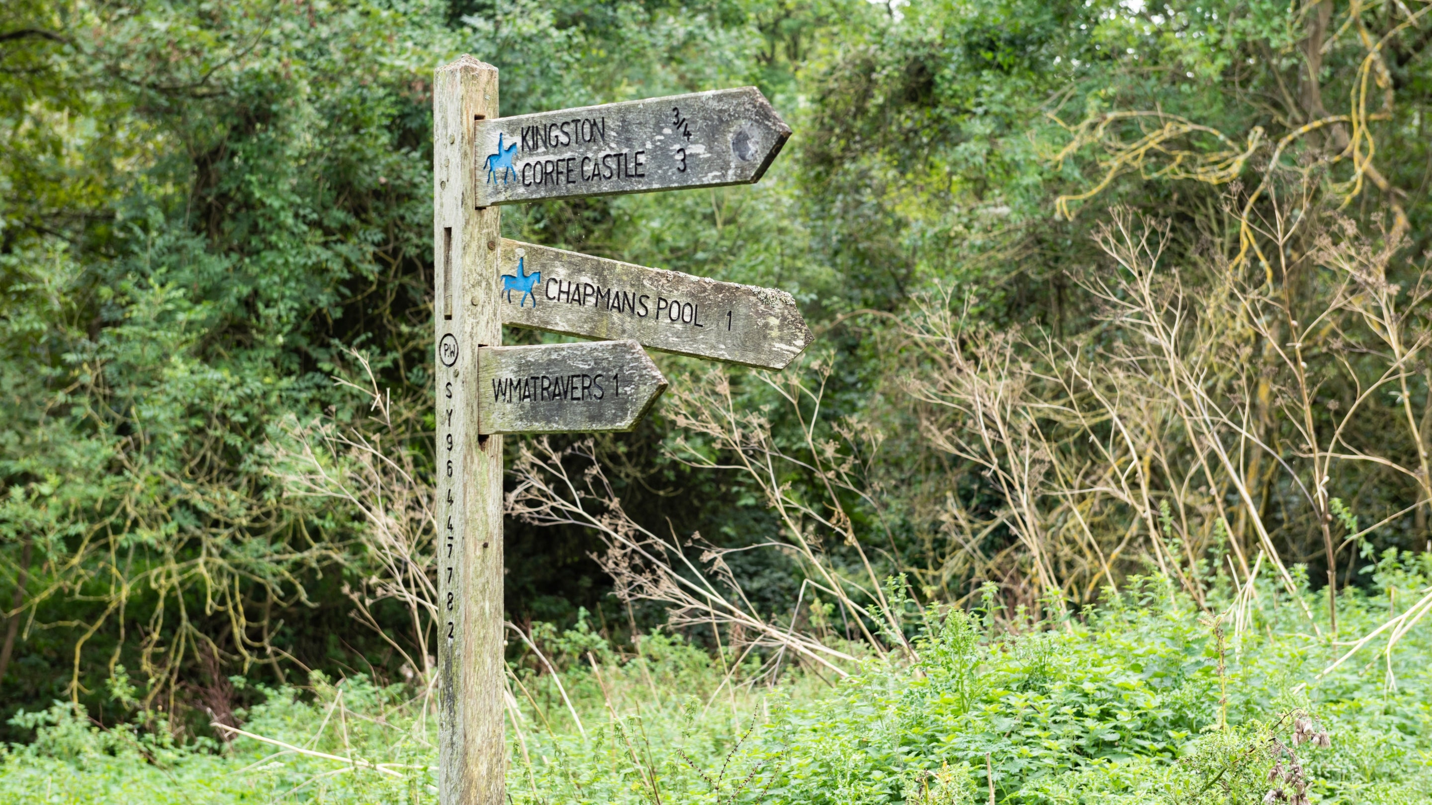 The area surrounding Weston Farm Motorhome Site, Dorset